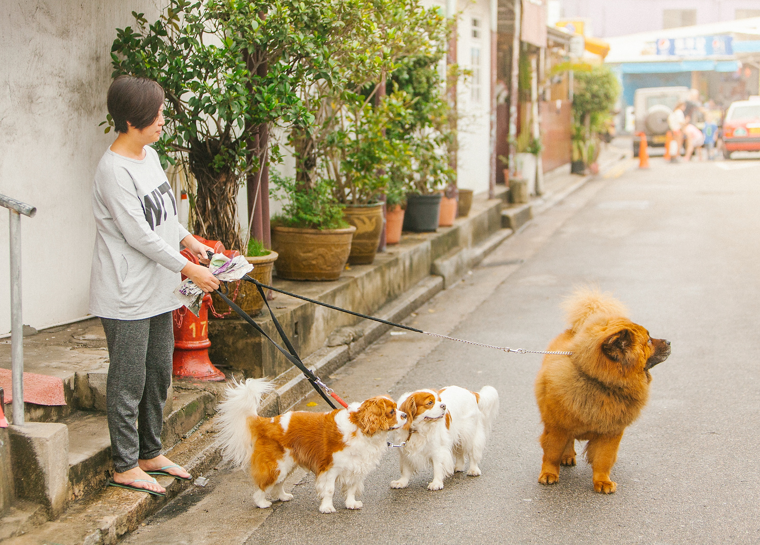 0223_monocle_Shek-o_0372.JPG