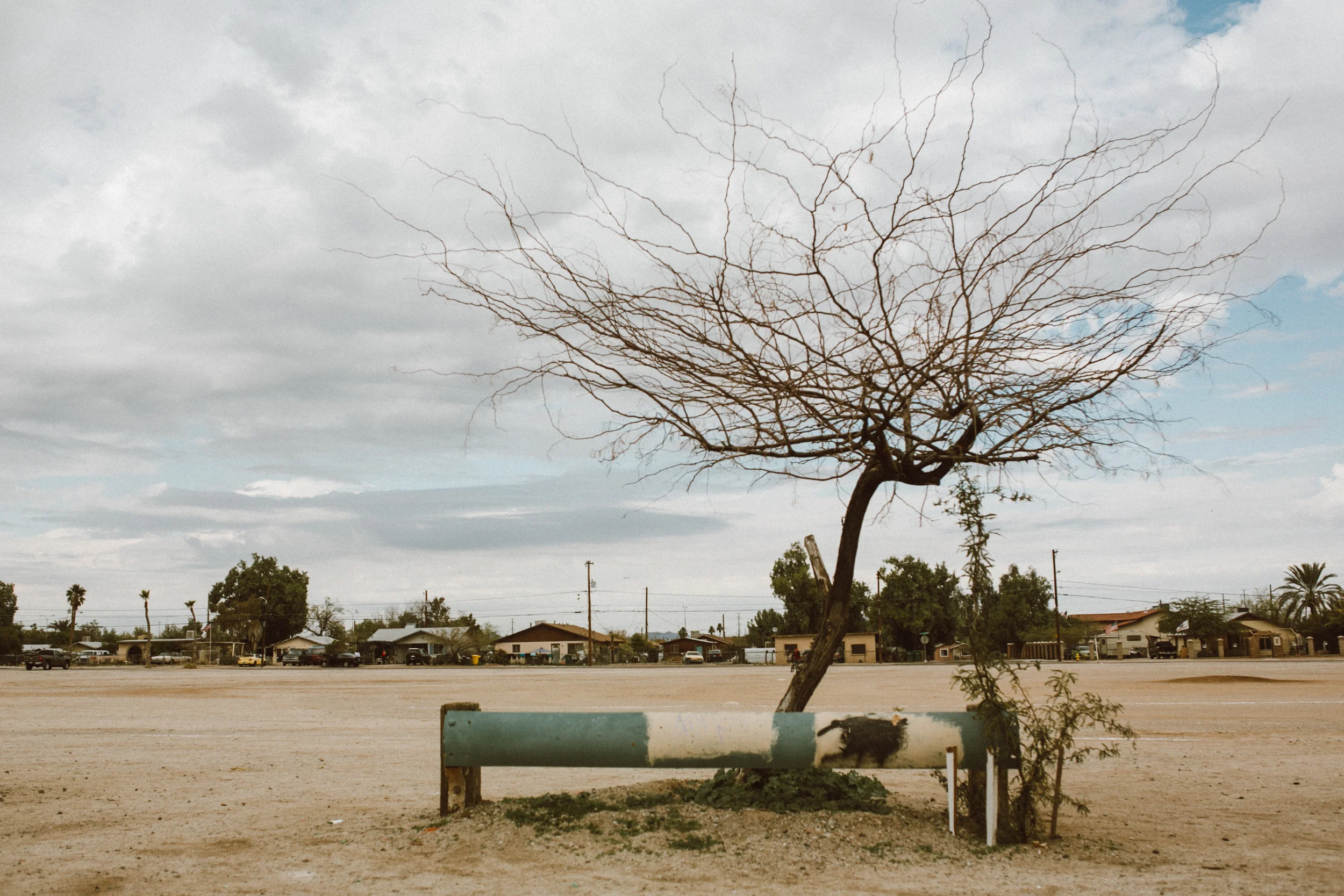 guadeloupe arizona phoenix meet the michaels chellise 1809.JPG