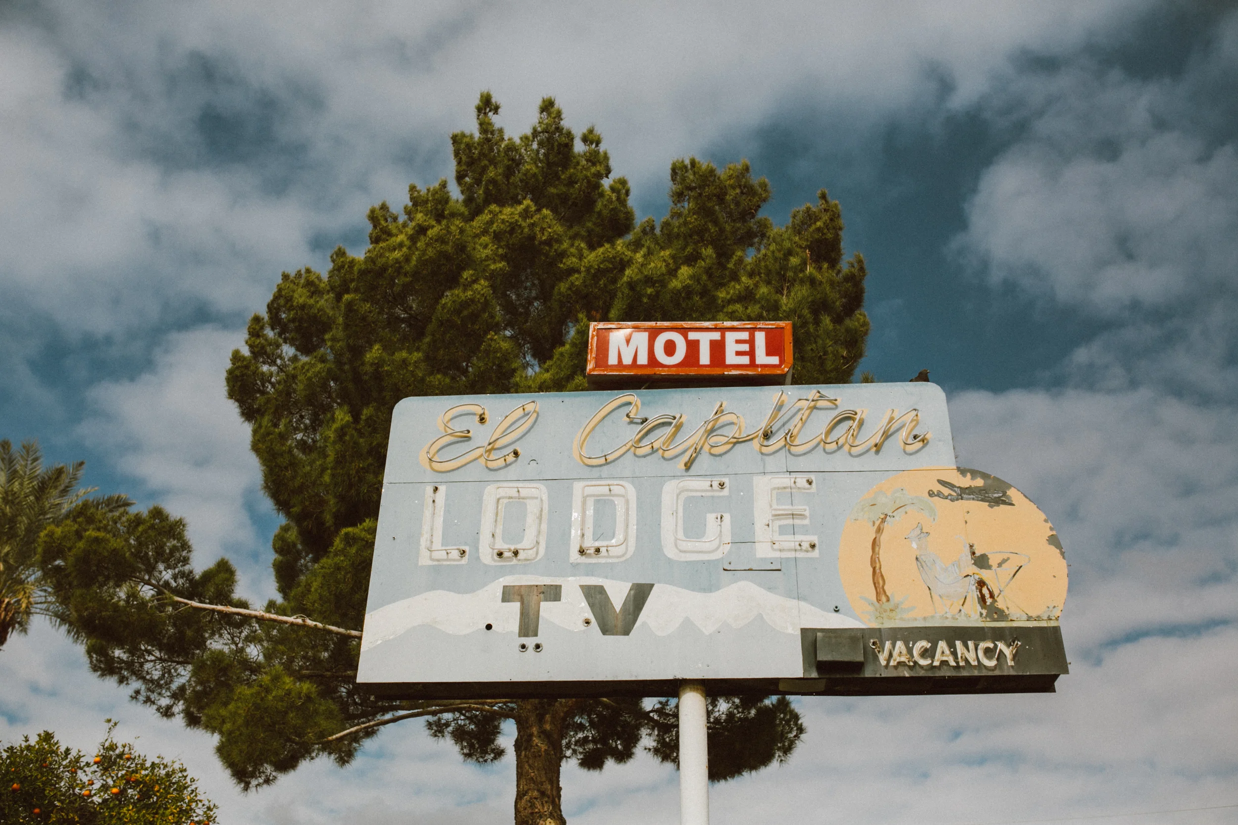 phoenix arizona meet the michaels chellise 1838.JPG