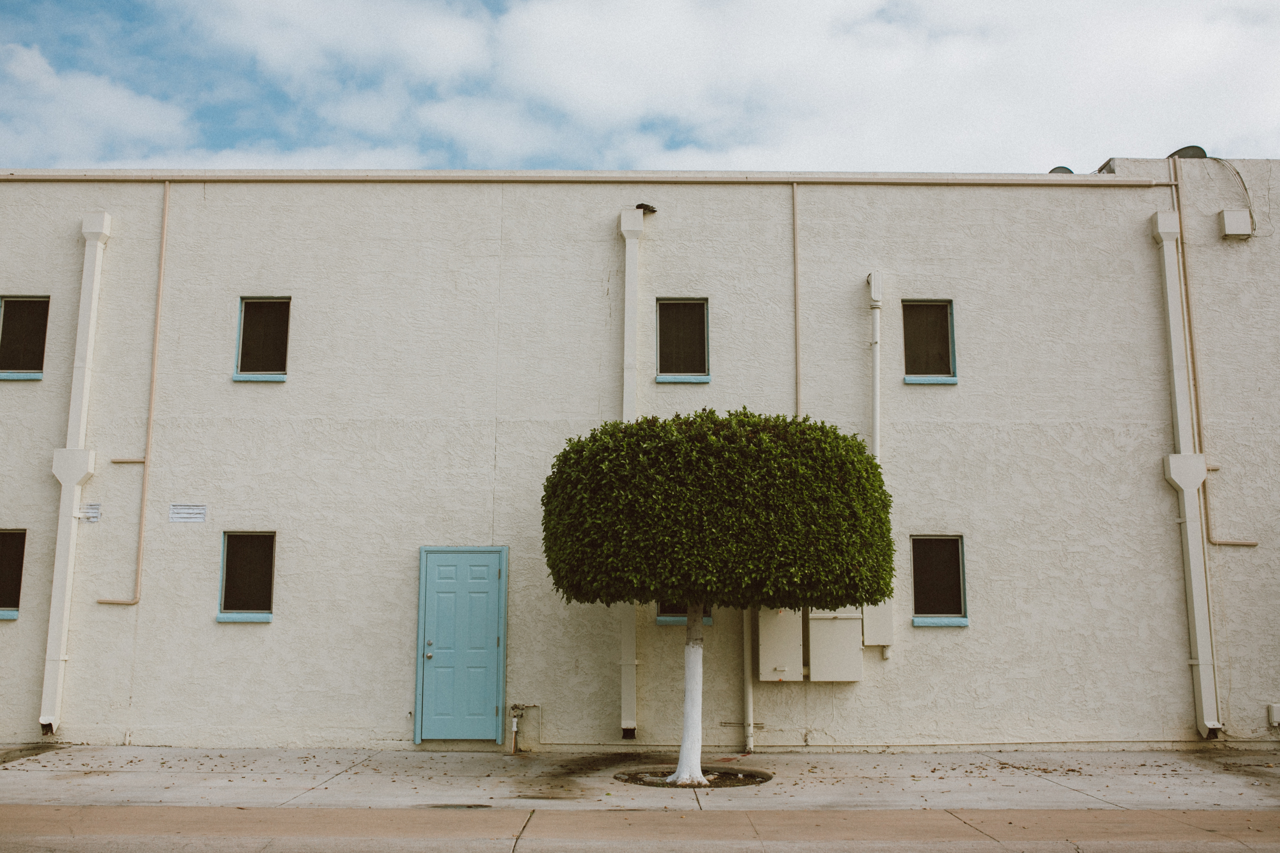 phoenix arizona meet the michaels chellise 1840.JPG