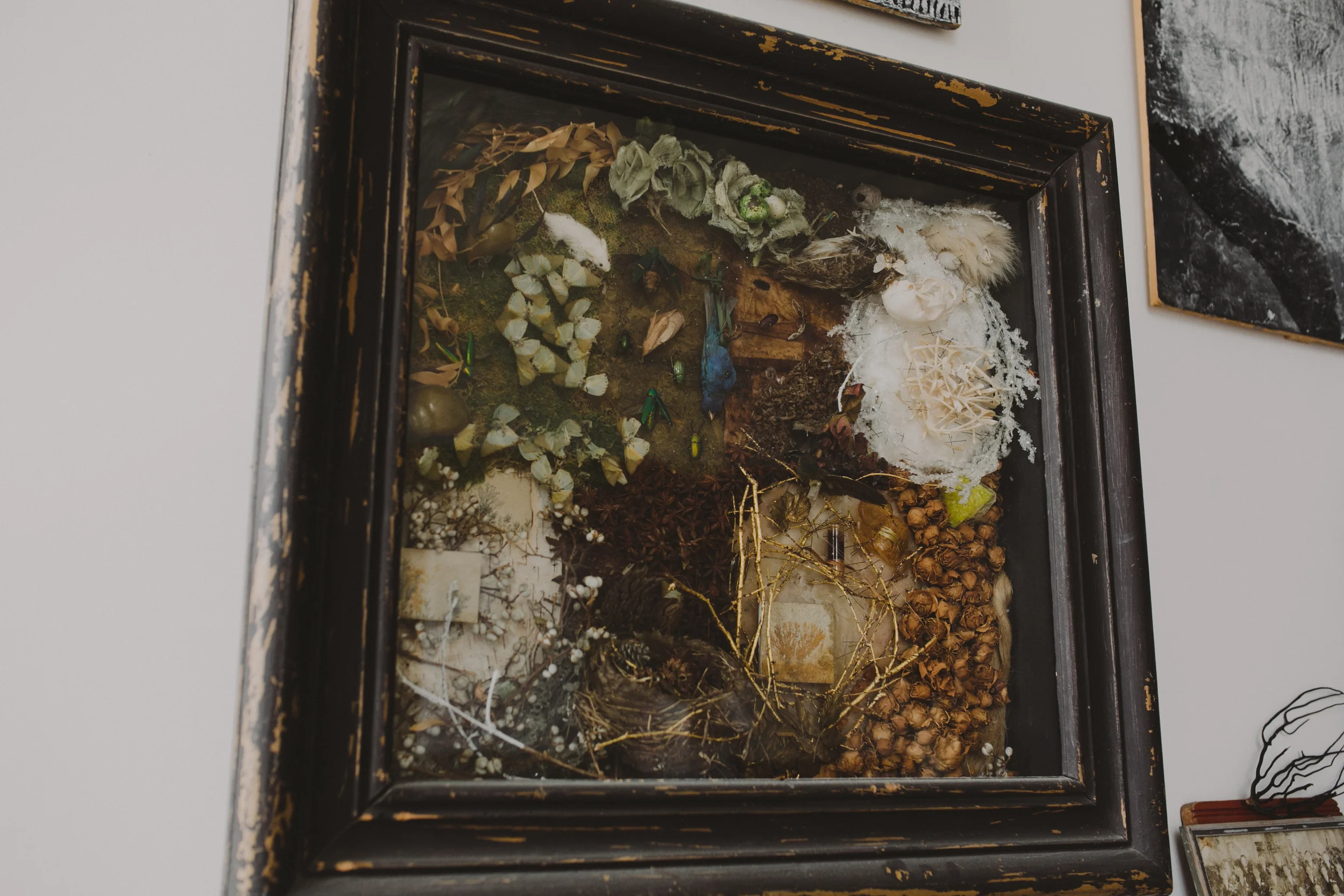 bogart portraits meet the michaels phantom limb 1975.JPG