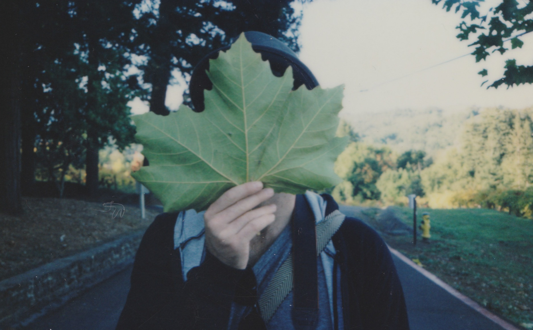 impossible polaroid film  (11 of 66).jpg