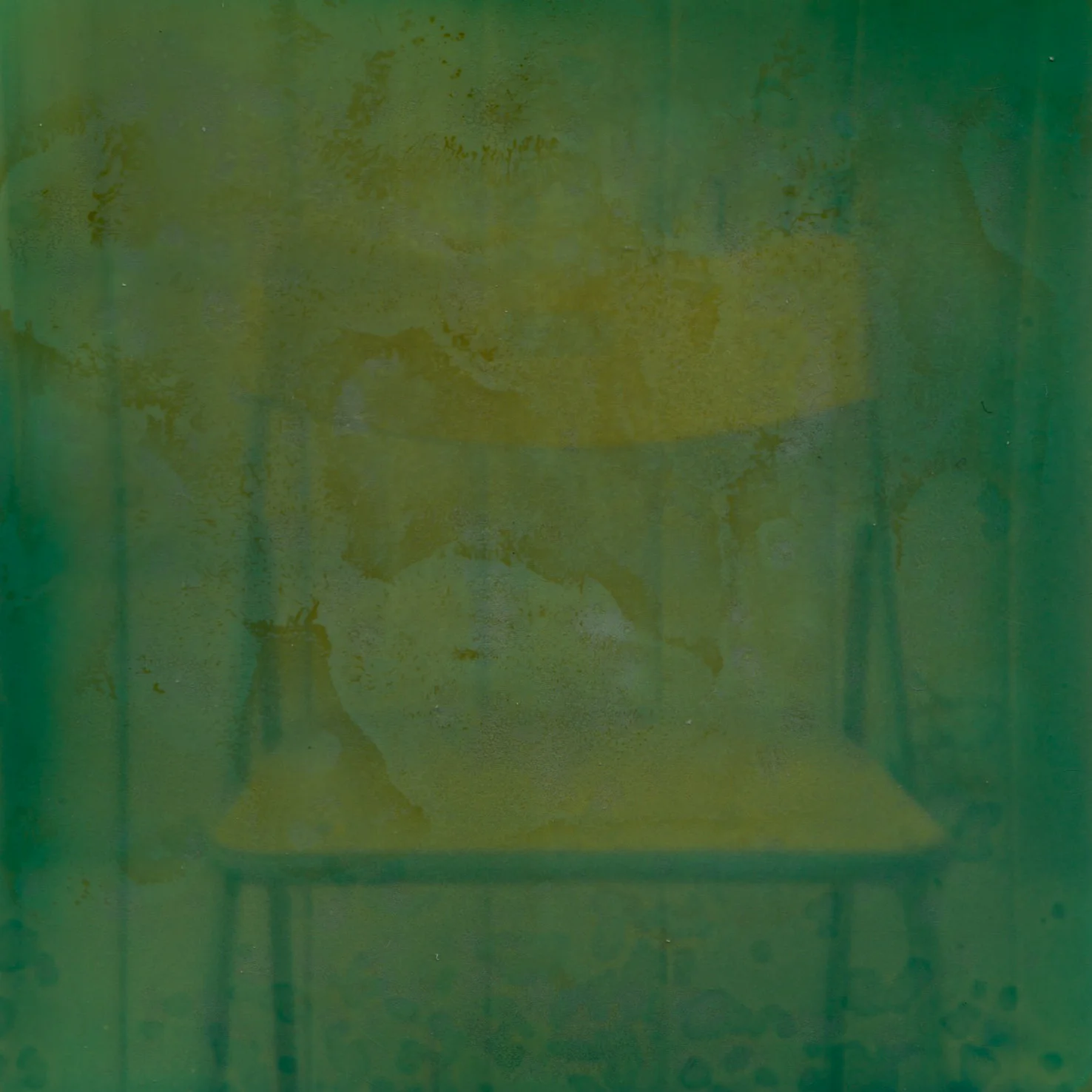 impossible polaroid film  (13 of 66).jpg