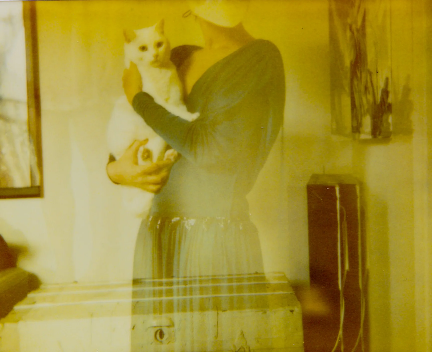 impossible polaroid film  (23 of 66).jpg