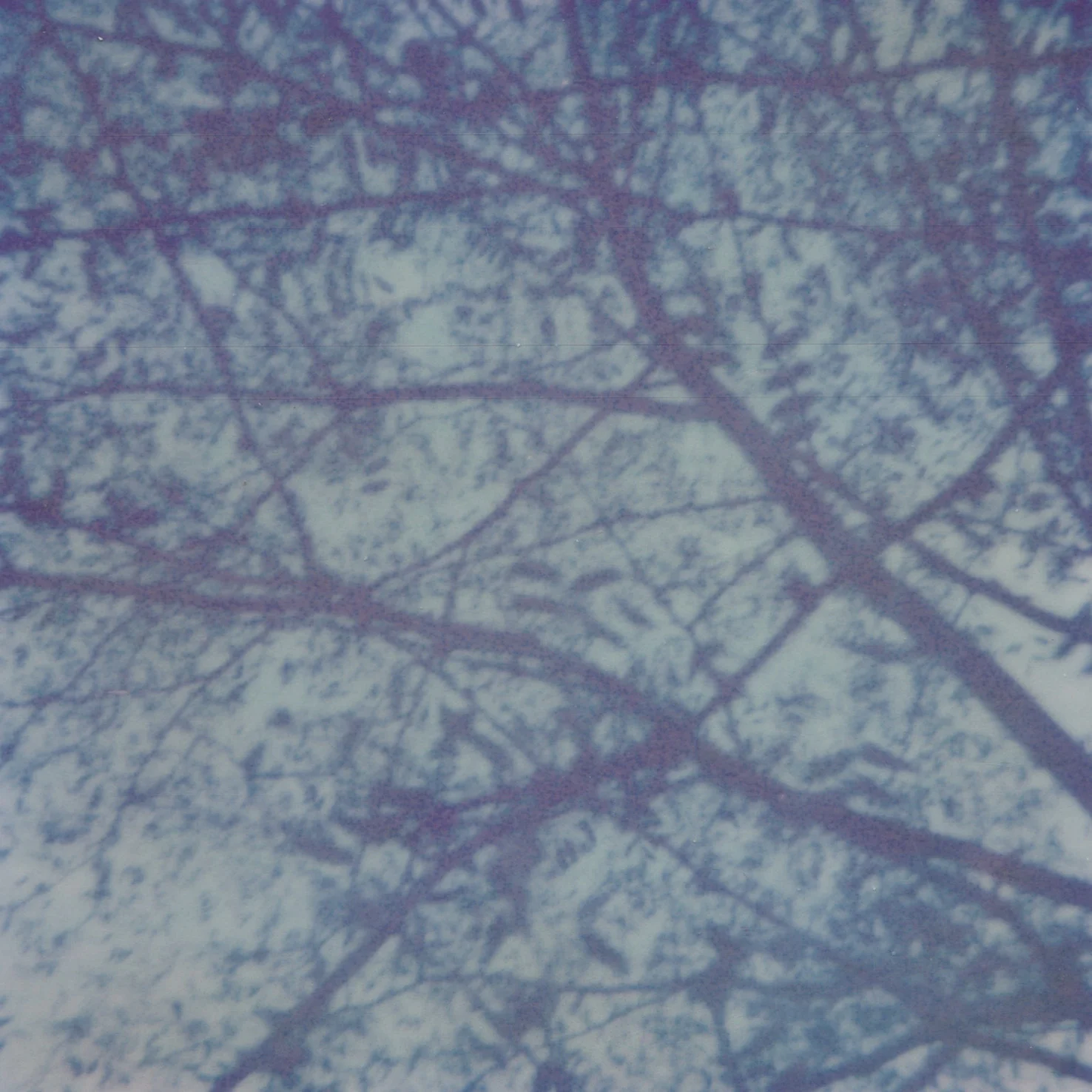 impossible polaroid film  (27 of 66).jpg