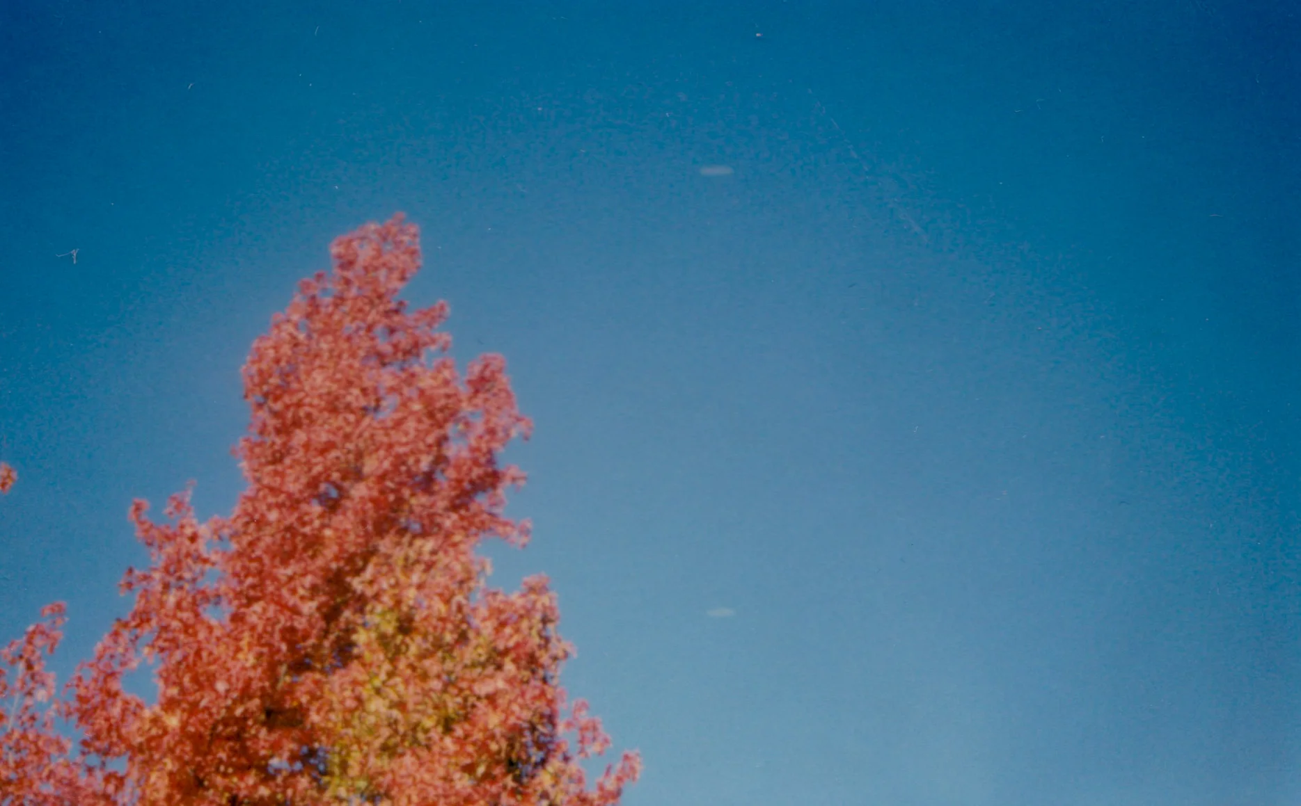 impossible polaroid film  (34 of 66).jpg