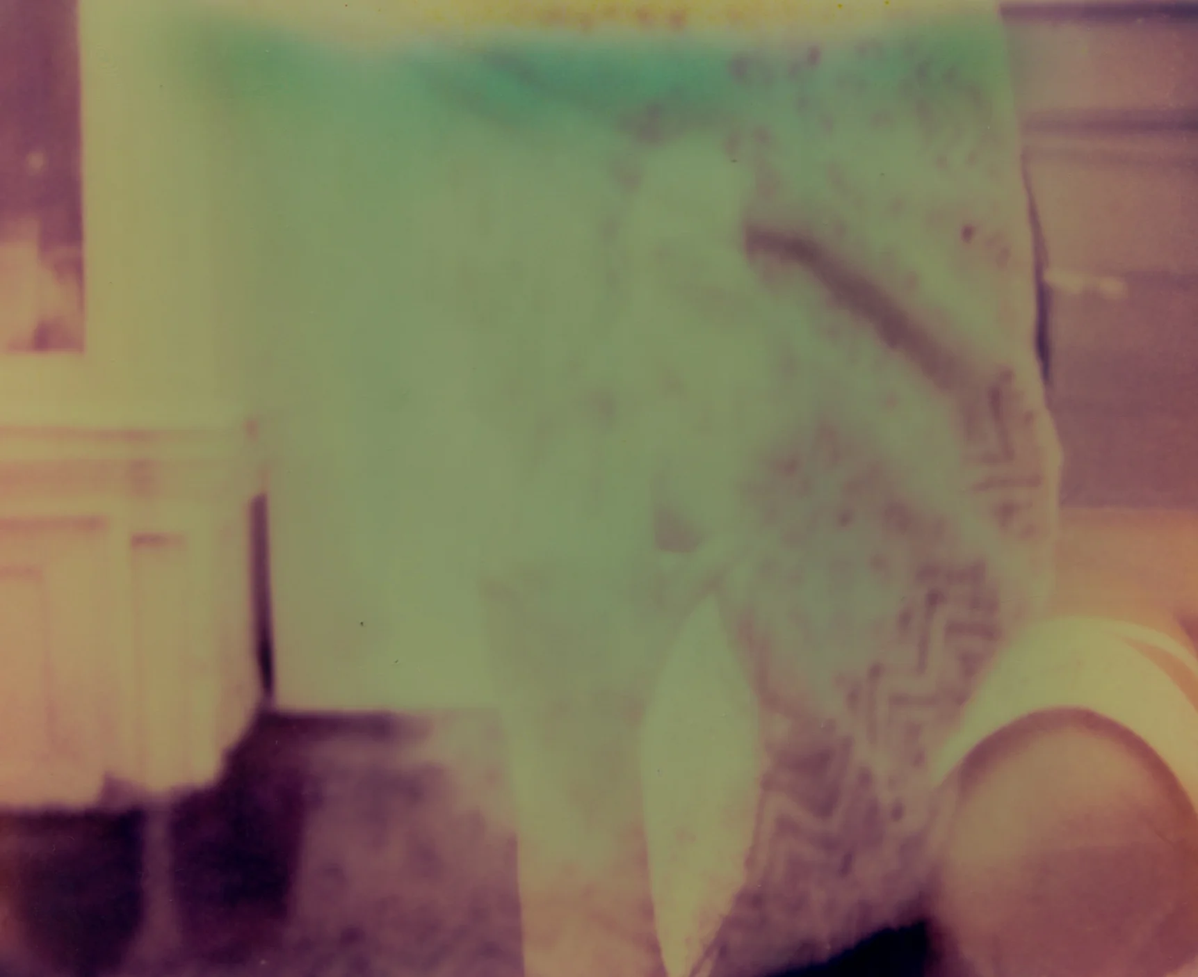 impossible polaroid film  (42 of 66).jpg