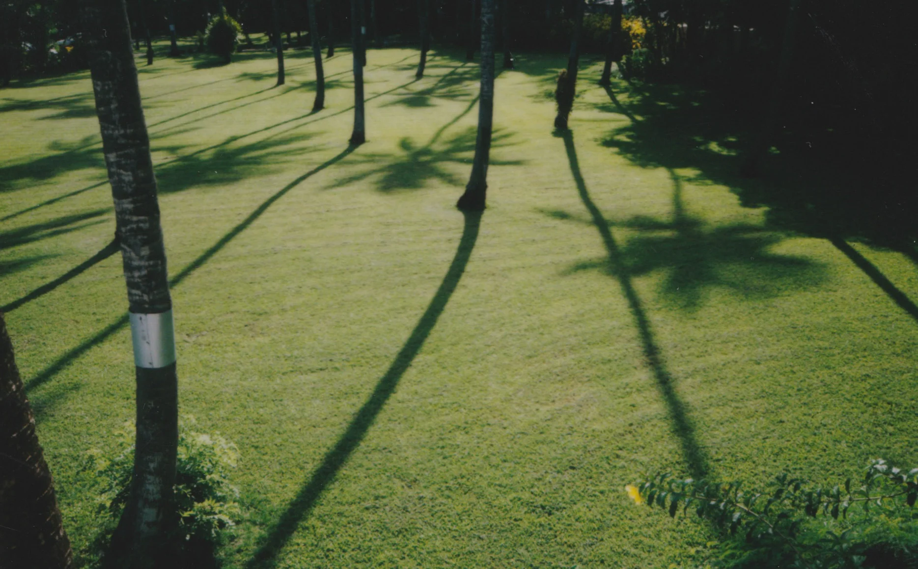 impossible polaroid film  (43 of 66).jpg