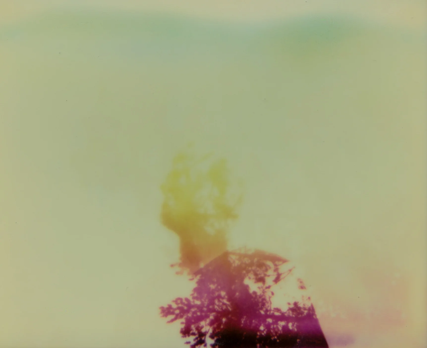 impossible polaroid film  (45 of 66).jpg