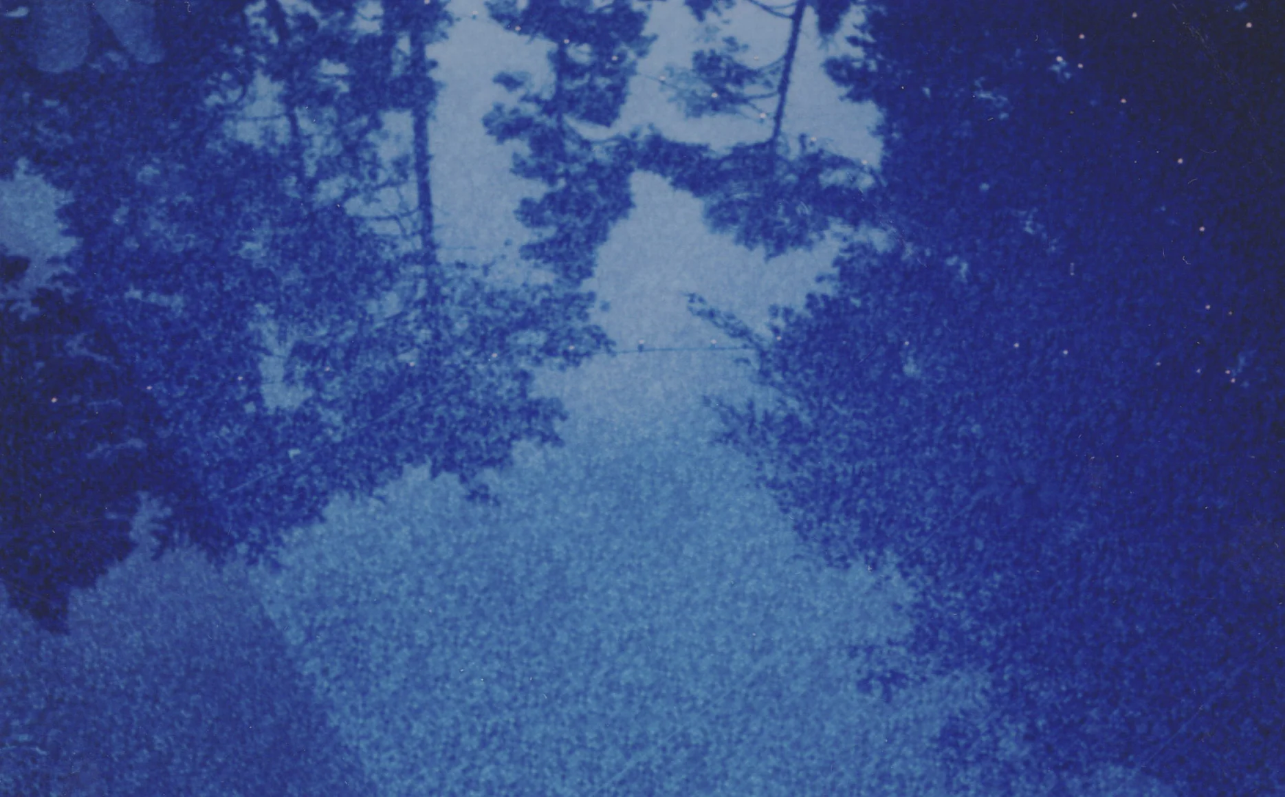 impossible polaroid film  (46 of 66).jpg