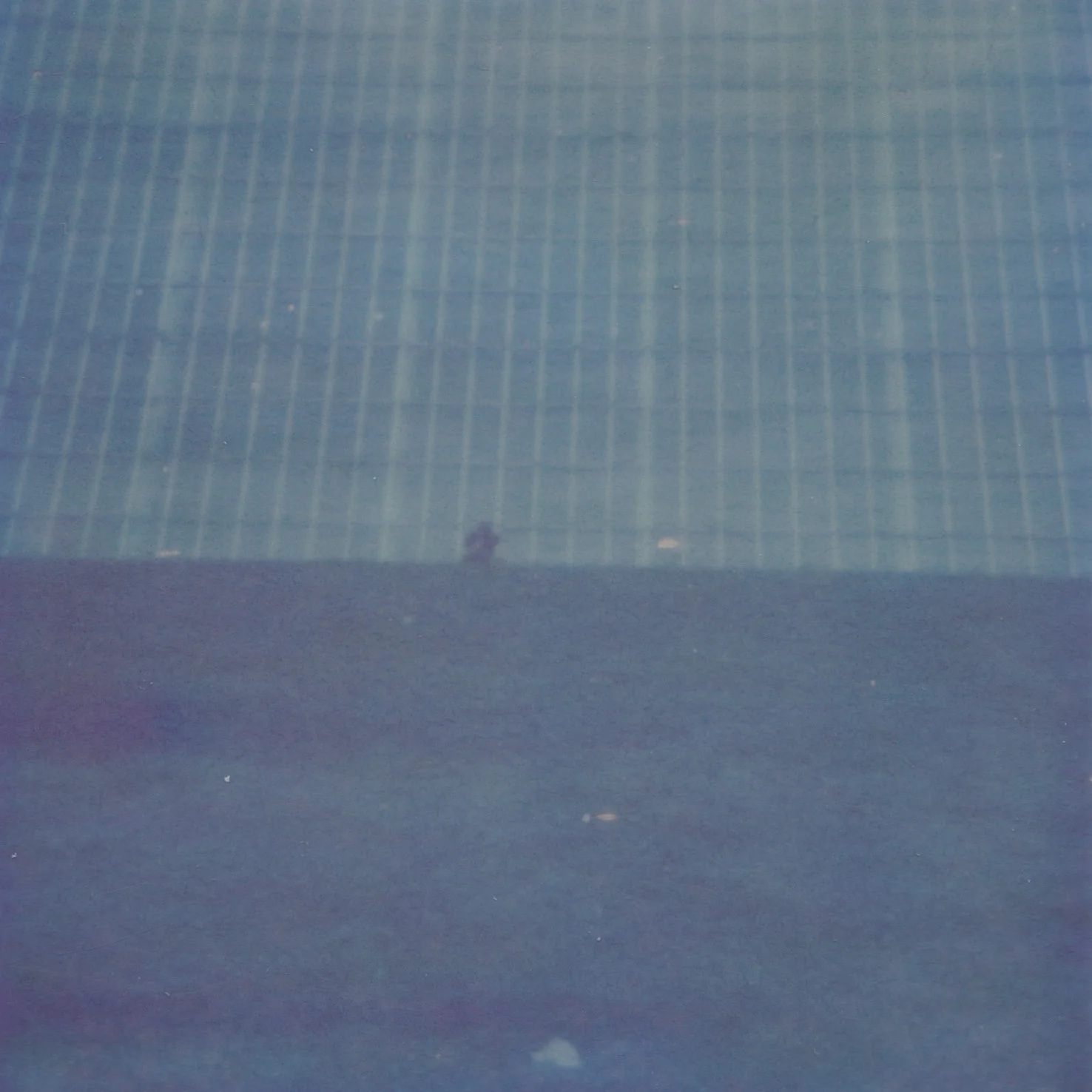 impossible polaroid film  (53 of 66).jpg