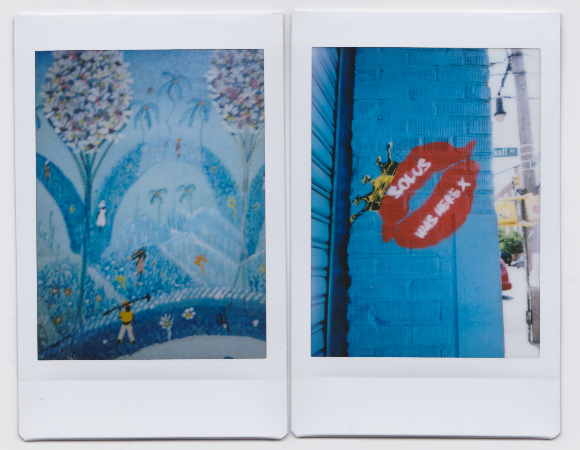 impossible polaroid film  (60 of 66).jpg