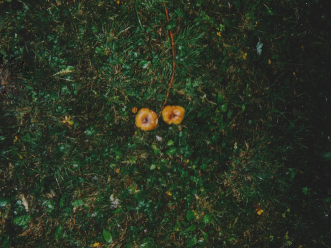 impossible polaroid film  (64 of 66).jpg