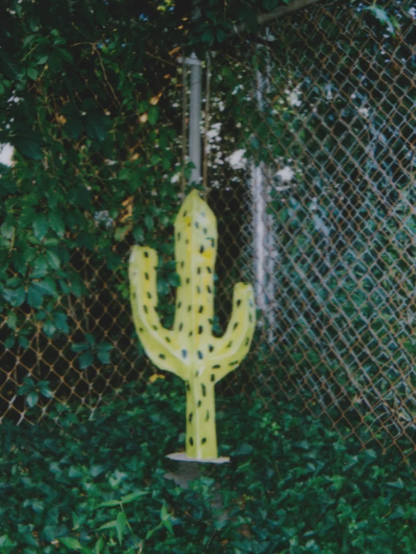 impossible polaroid film  (66 of 66).jpg