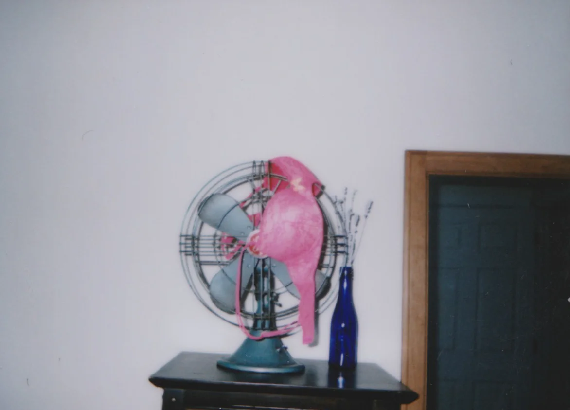 impossible polaroid film  (70 of 66).jpg