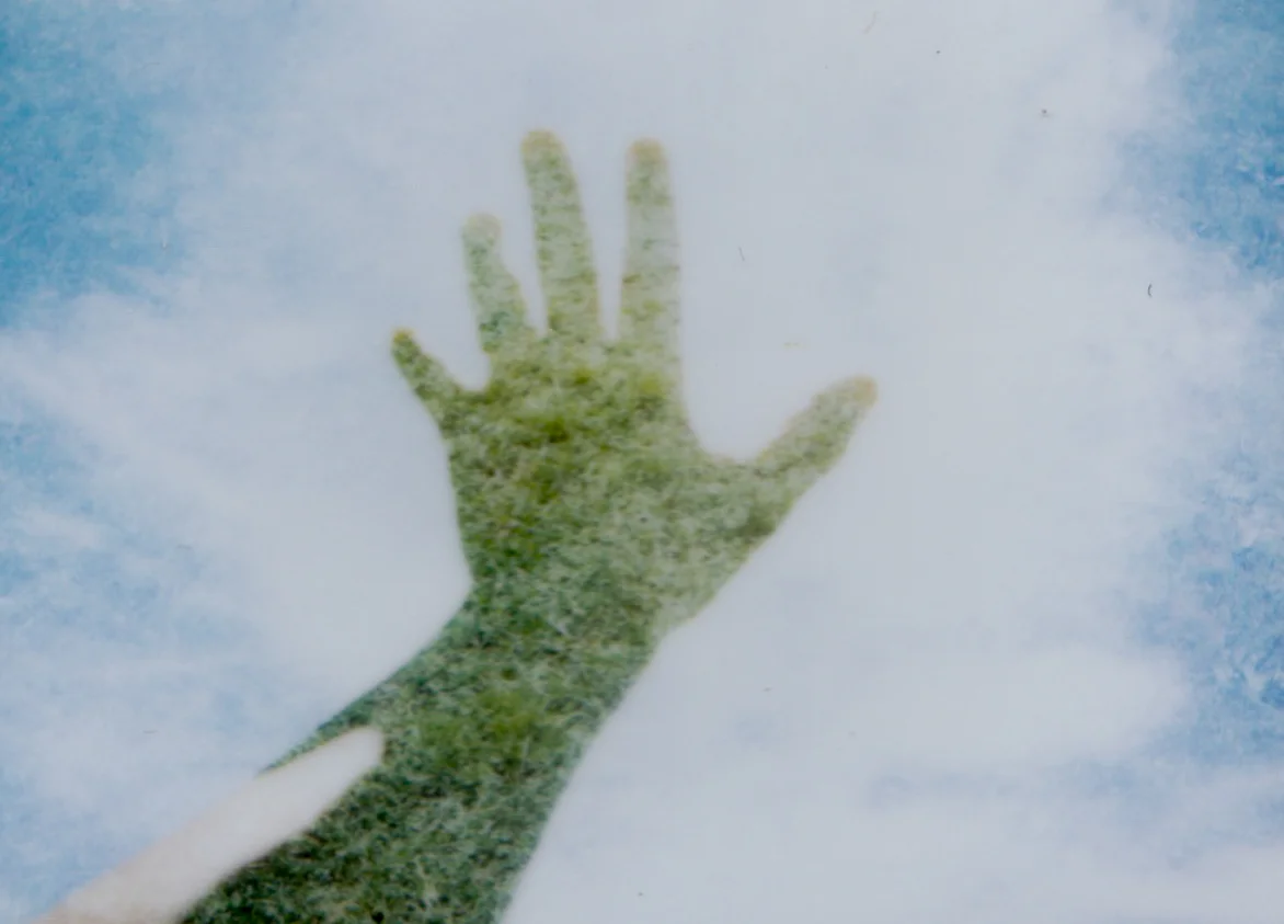 impossible polaroid film  (74 of 66).jpg