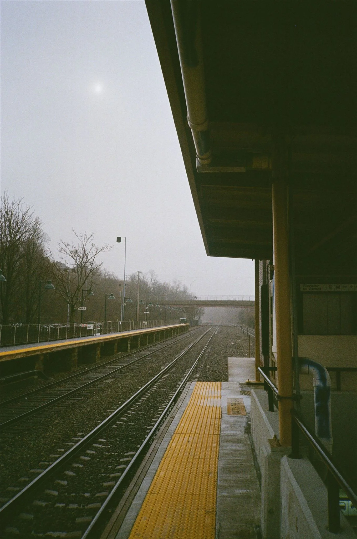 Green Cone-2020_websize.jpg