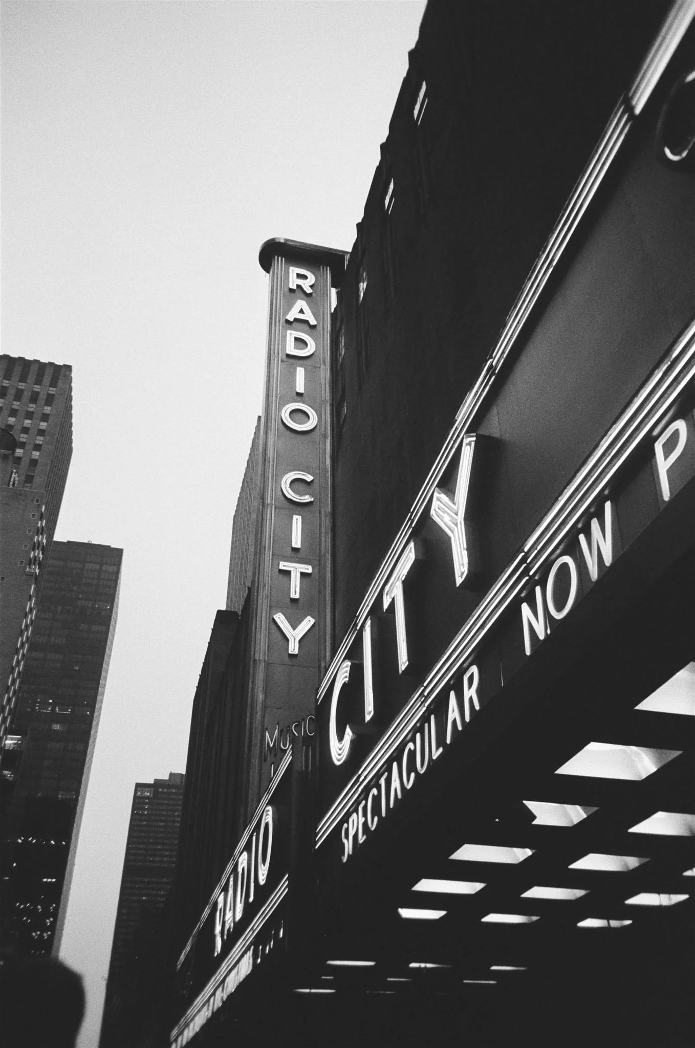 Green Cone-2091_websize.jpg