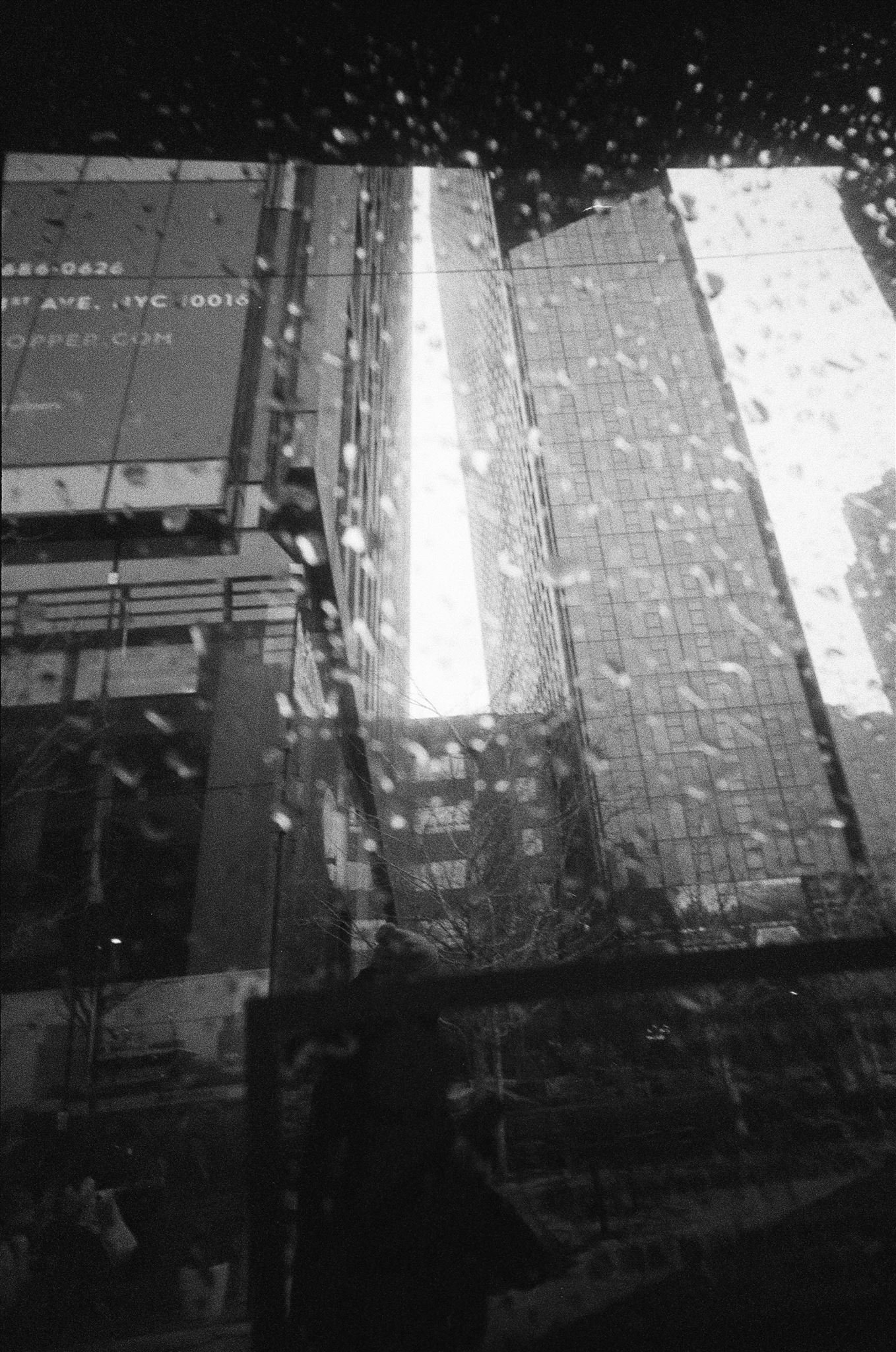 NYC Dec 2023-1002_websize.jpg