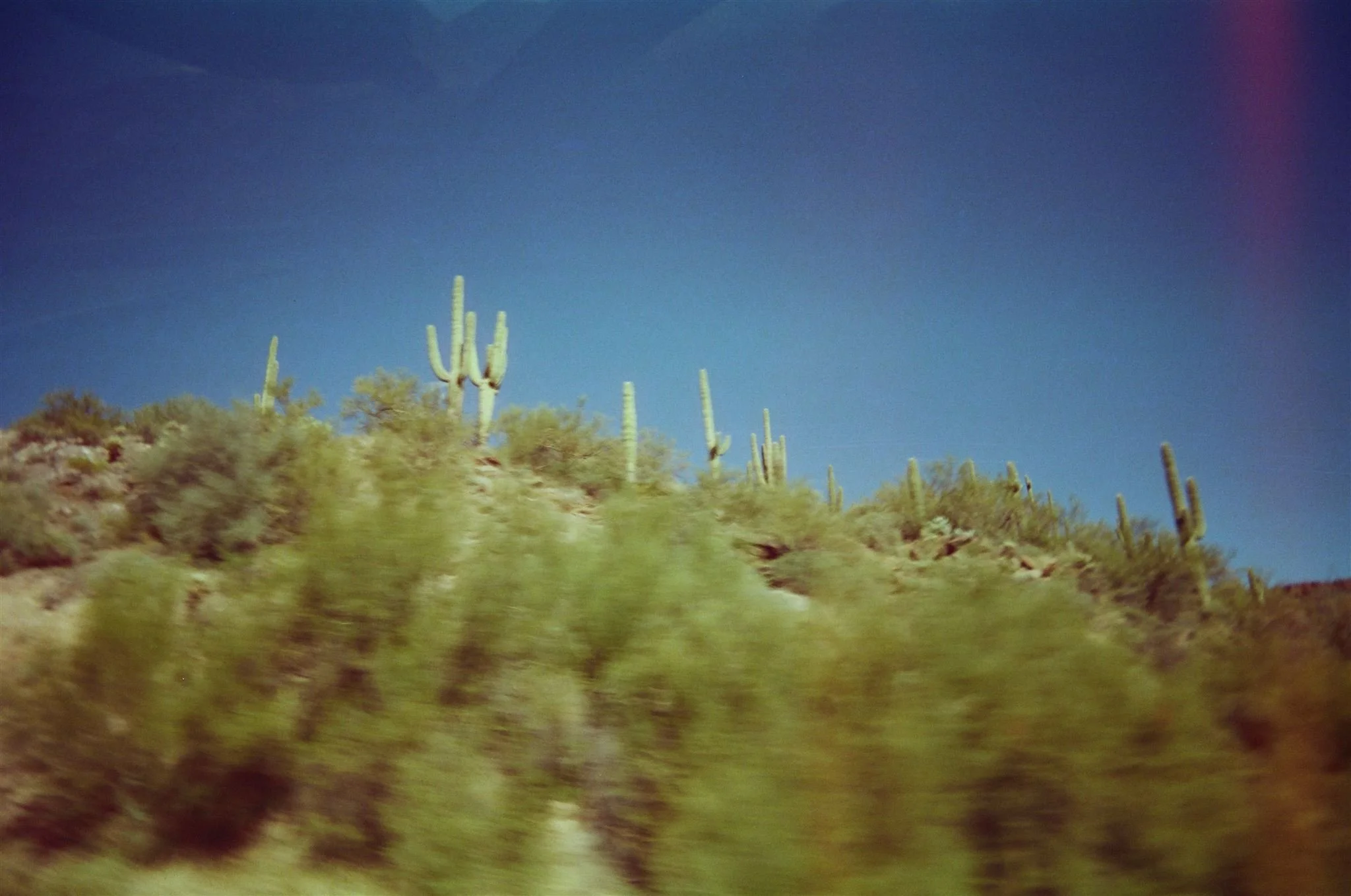 Arcosanti_35mmFilm_ChelliseMichaelPhotography_ArizonaDesert-5002_websize.jpg