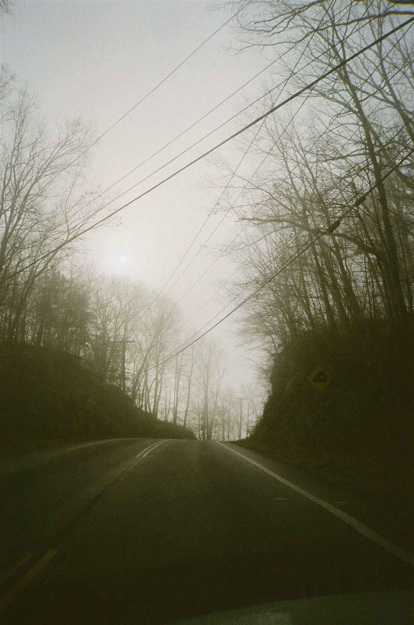 Green Cone-2017_websize.jpg