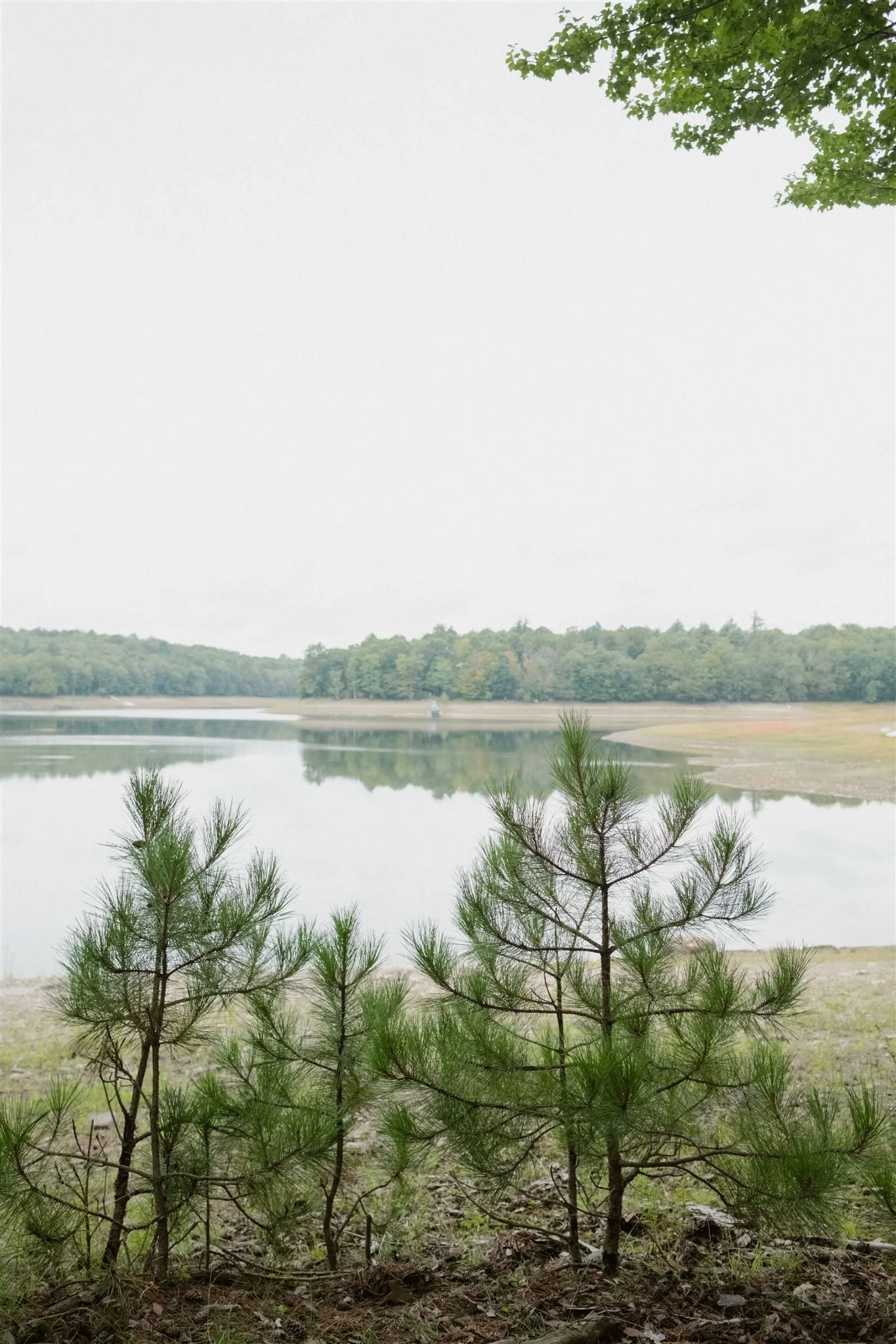 Anne&Justin_Chatwal Lodge Wedding_2023_ChelliseMichaeL-14_websize.jpg