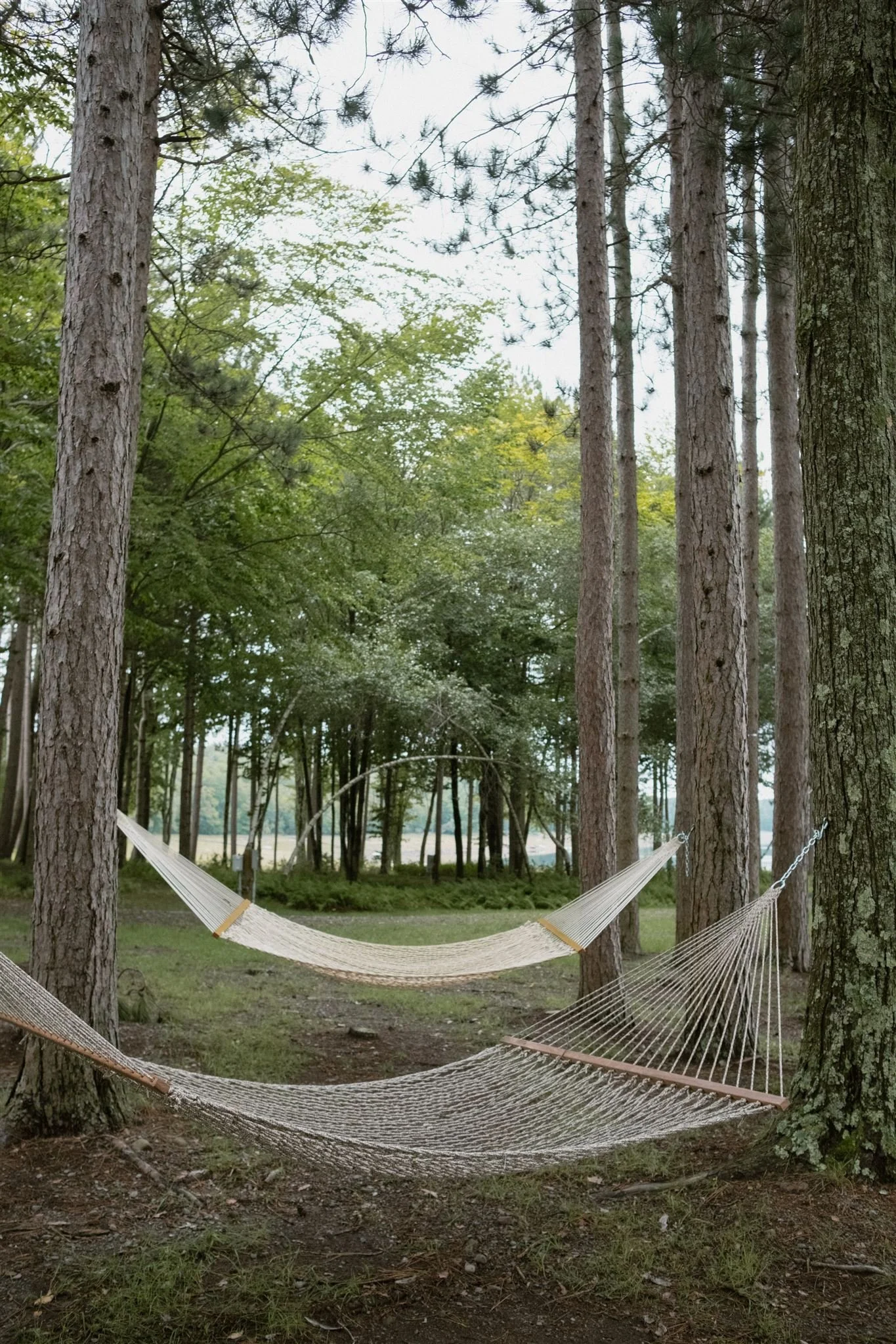 Anne&Justin_Chatwal Lodge Wedding_2023_ChelliseMichaeL-15_websize.jpg