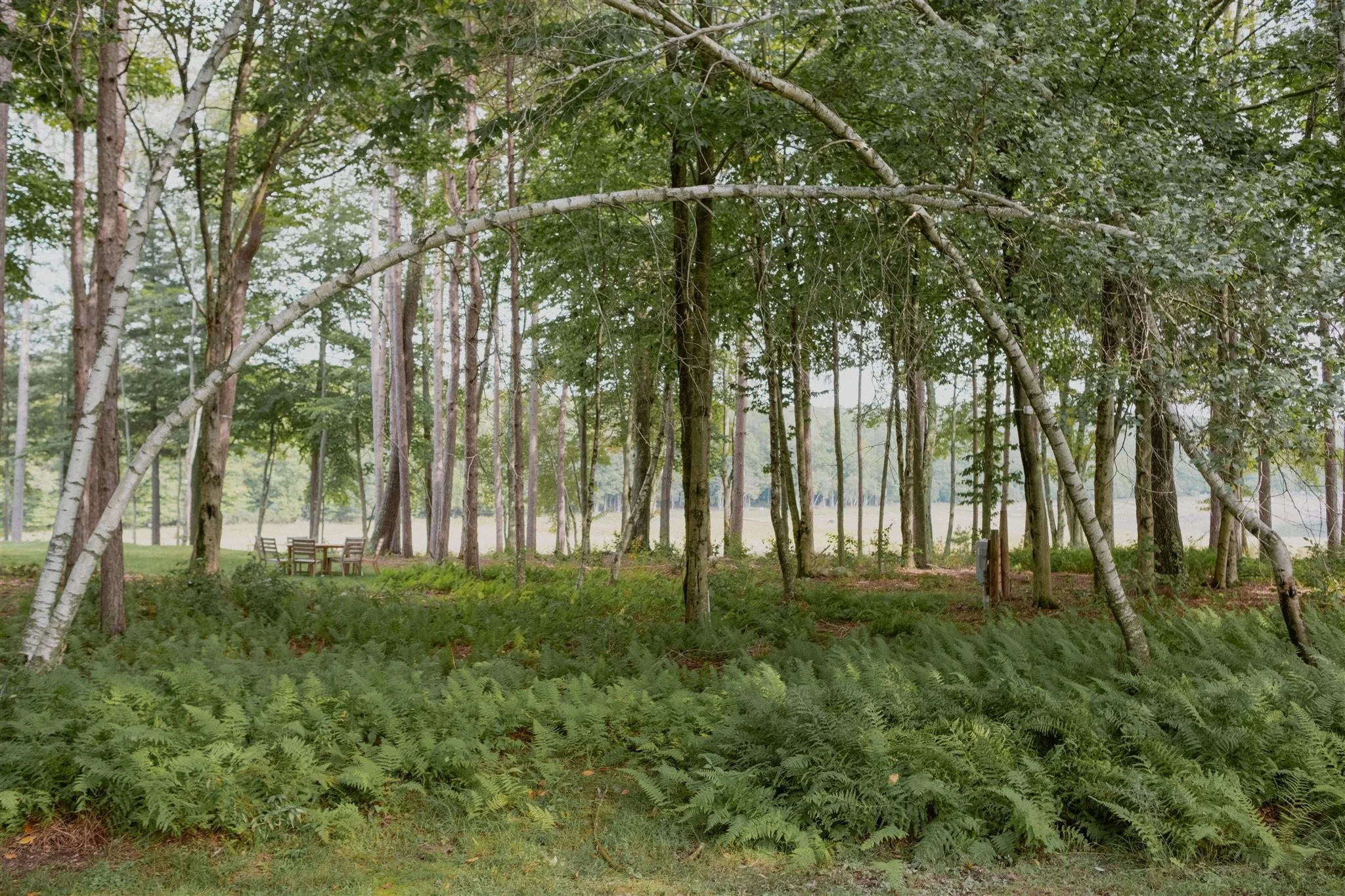 Anne&Justin_Chatwal Lodge Wedding_2023_ChelliseMichaeL-190_websize.jpg