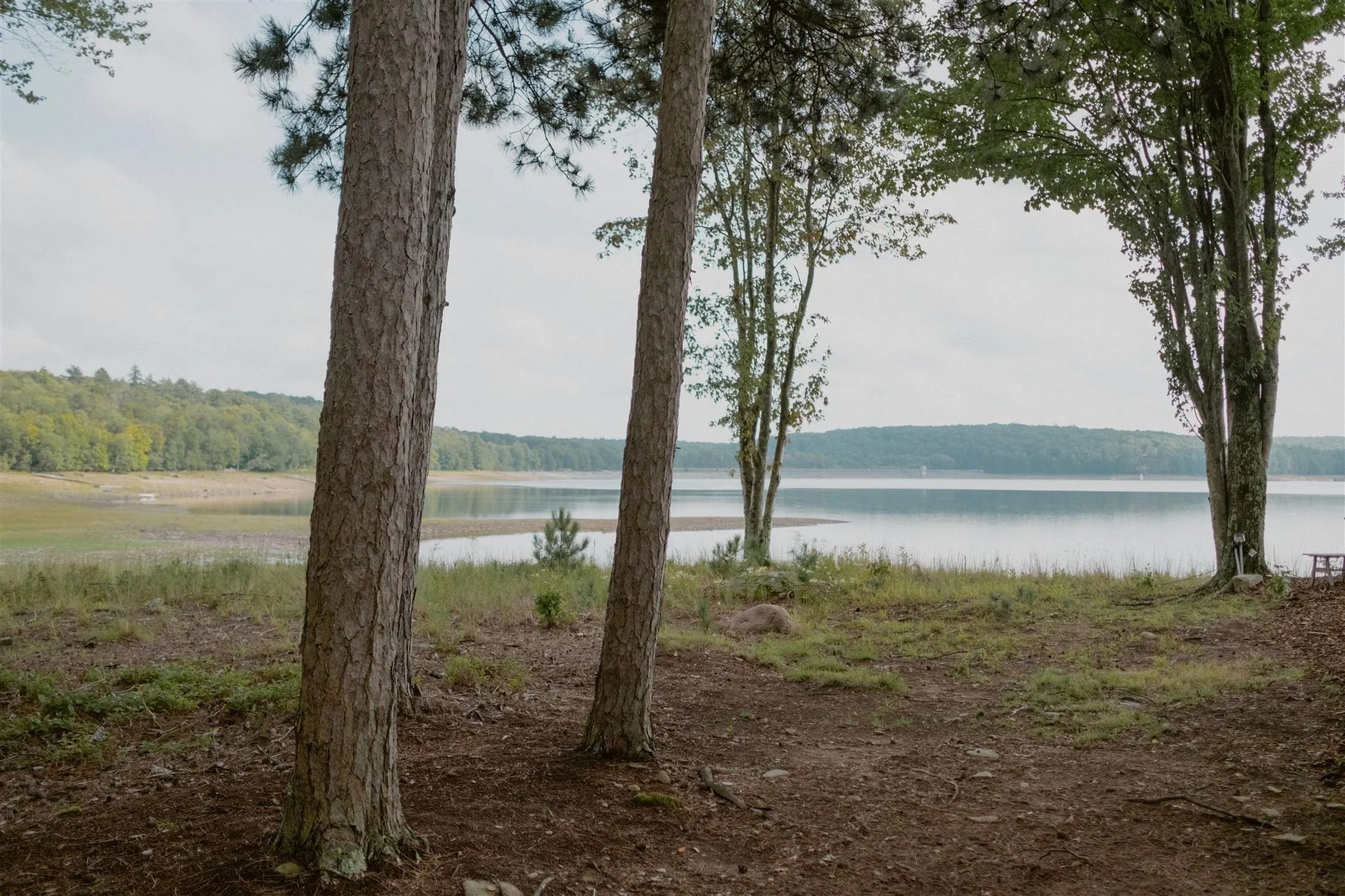 Anne&Justin_Chatwal Lodge Wedding_2023_ChelliseMichaeL-200_websize.jpg