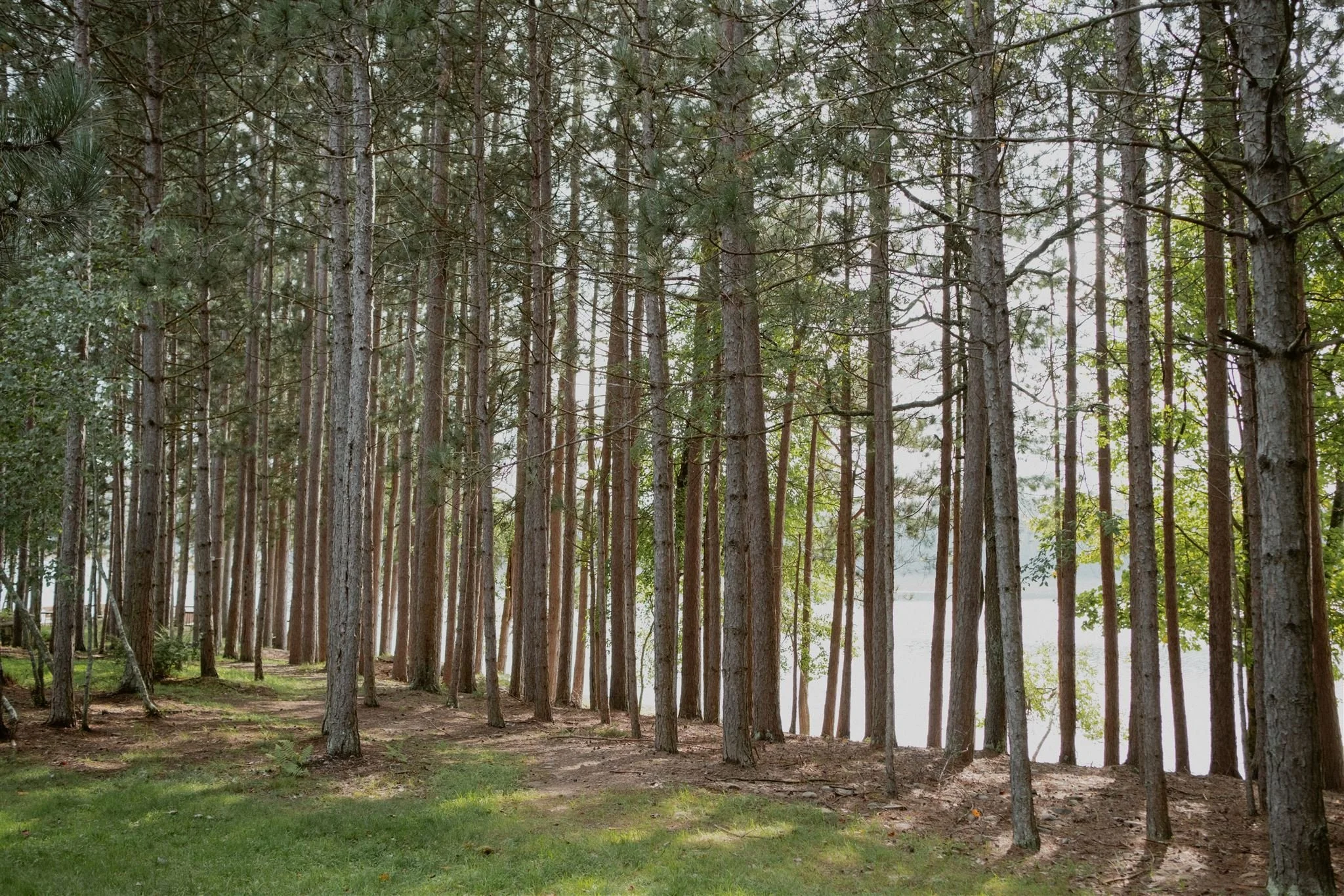 Anne&Justin_Chatwal Lodge Wedding_2023_ChelliseMichaeL-235_websize.jpg