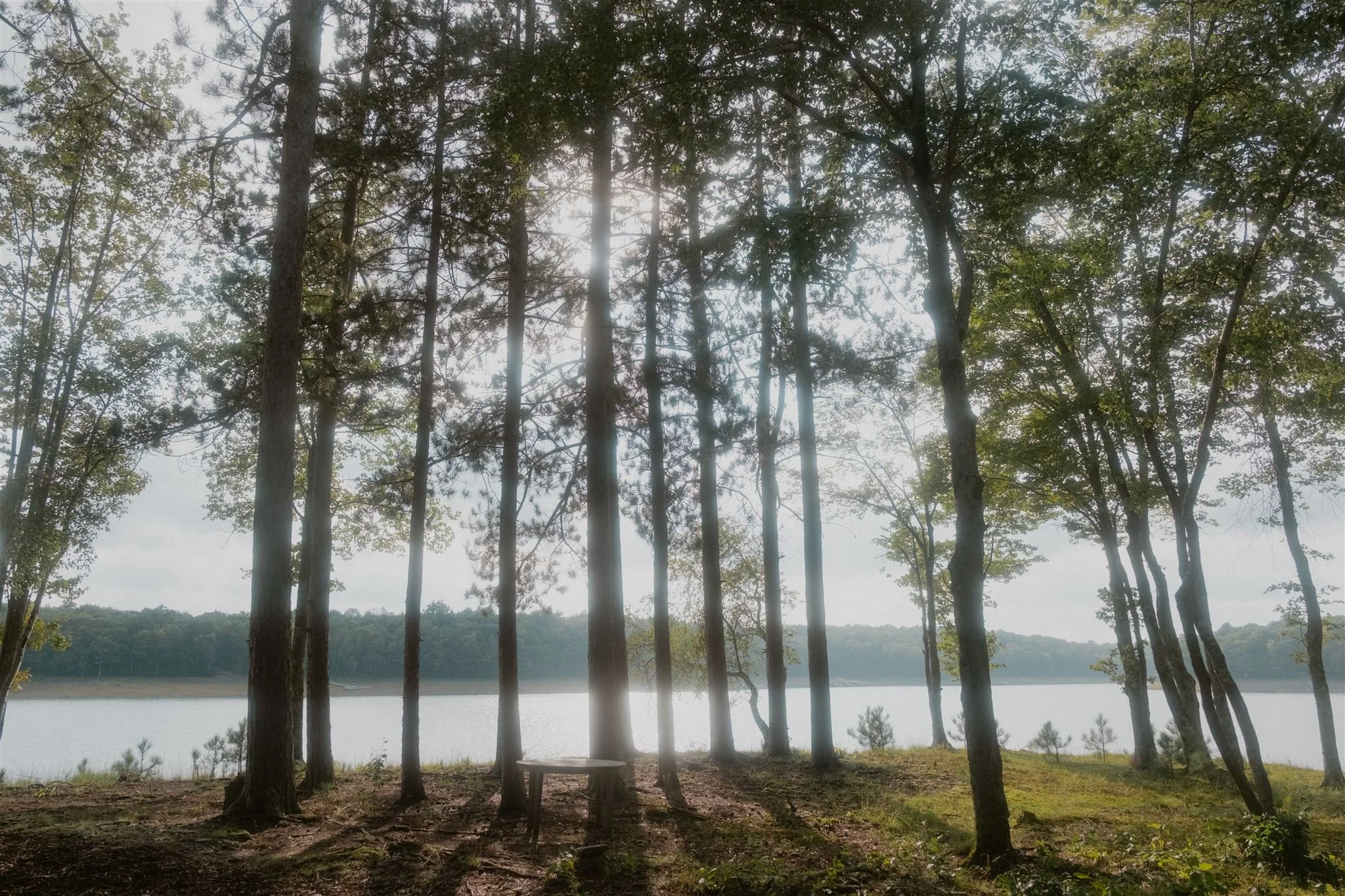 Anne&Justin_Chatwal Lodge Wedding_2023_ChelliseMichaeL-360_websize.jpg