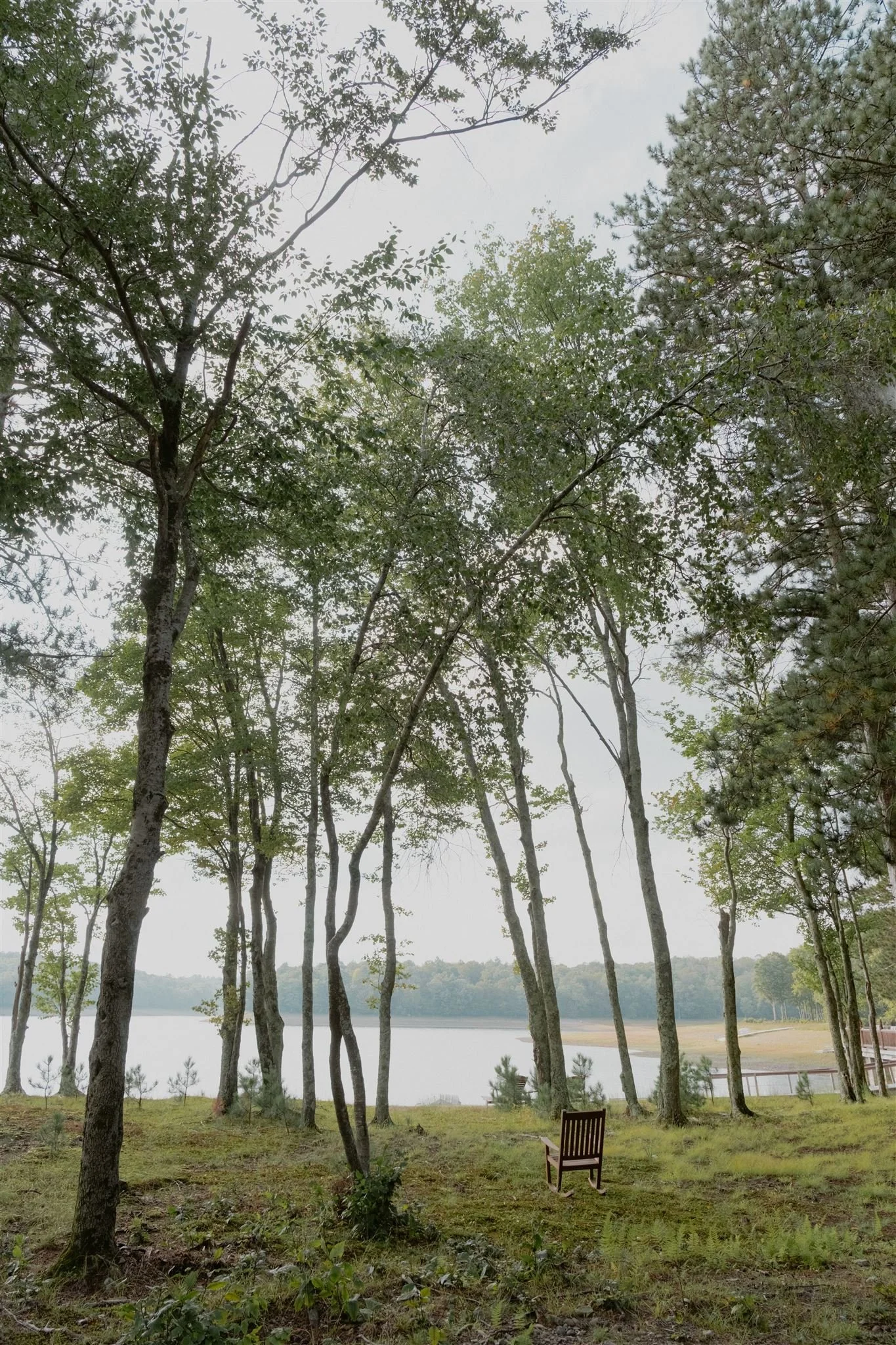 Anne&Justin_Chatwal Lodge Wedding_2023_ChelliseMichaeL-362_websize.jpg