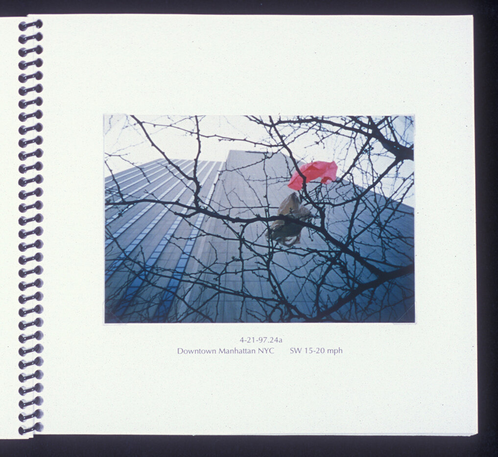 Inside of spiral bound book, image of plastic bags caught in tree with tall building in background in center of page.