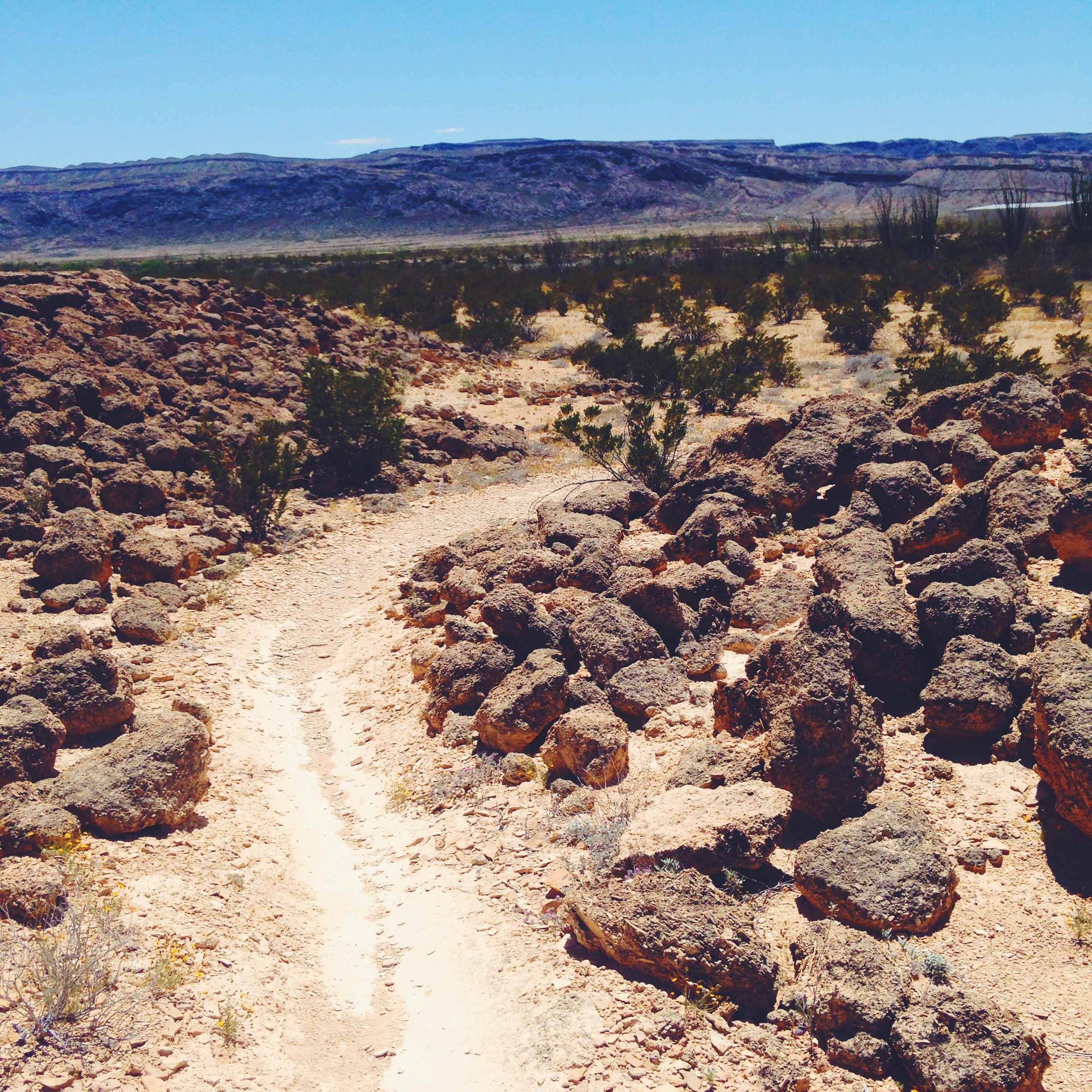 Loop 3 in Lajitas Trail System