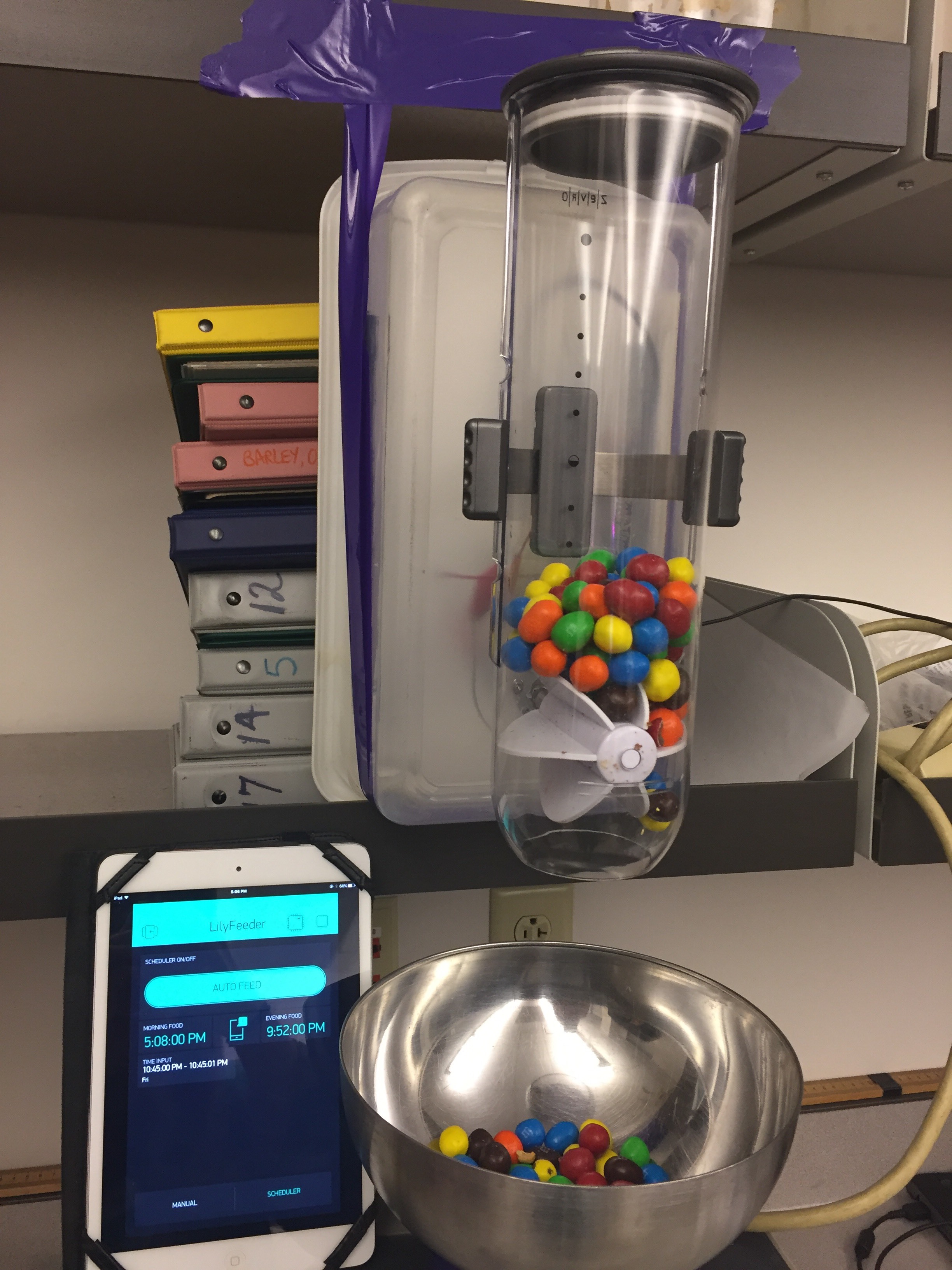 automatic dog feeder diy