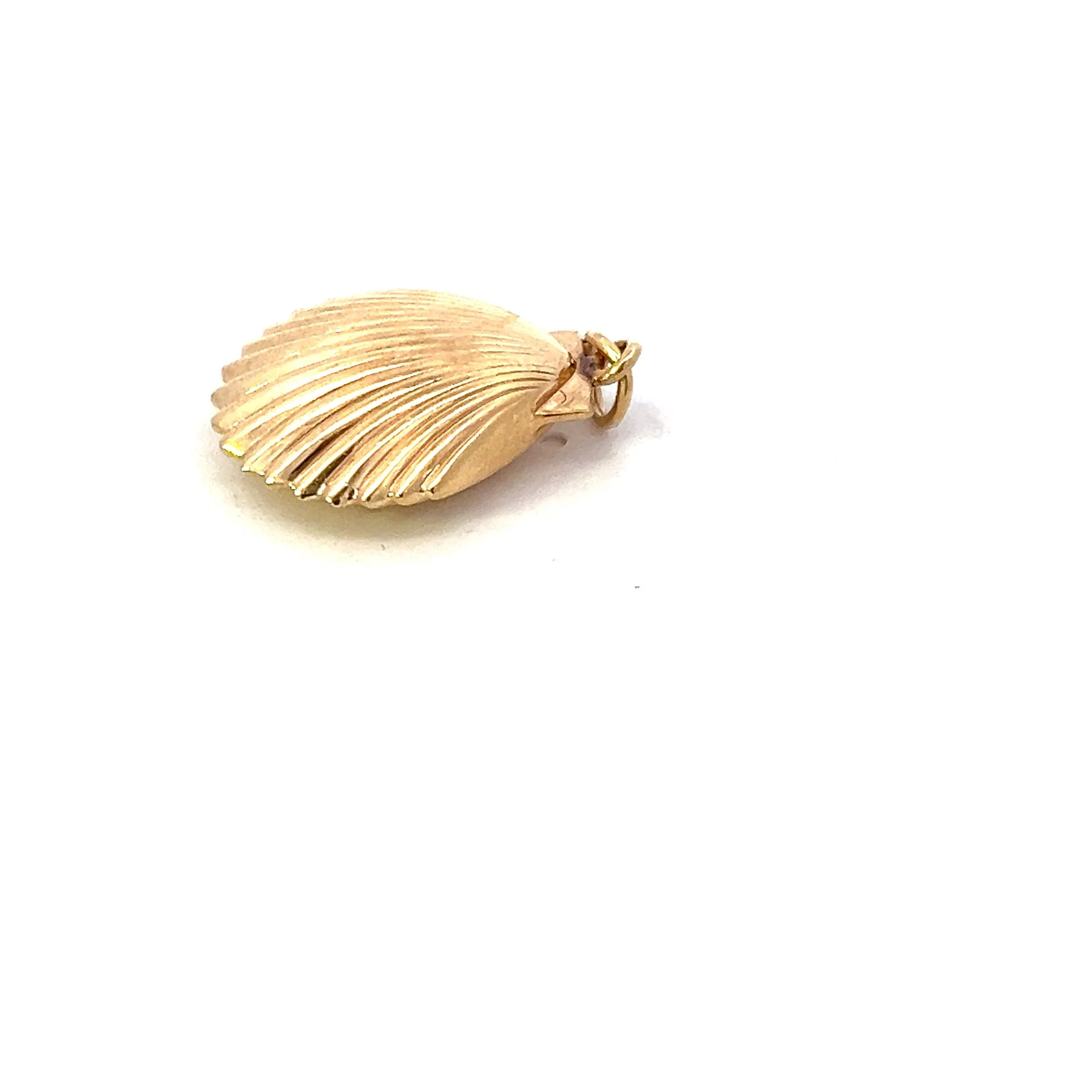 Scallop Seashell Charm_432ya762gf4_2025-07-11-11-51-14.jpg