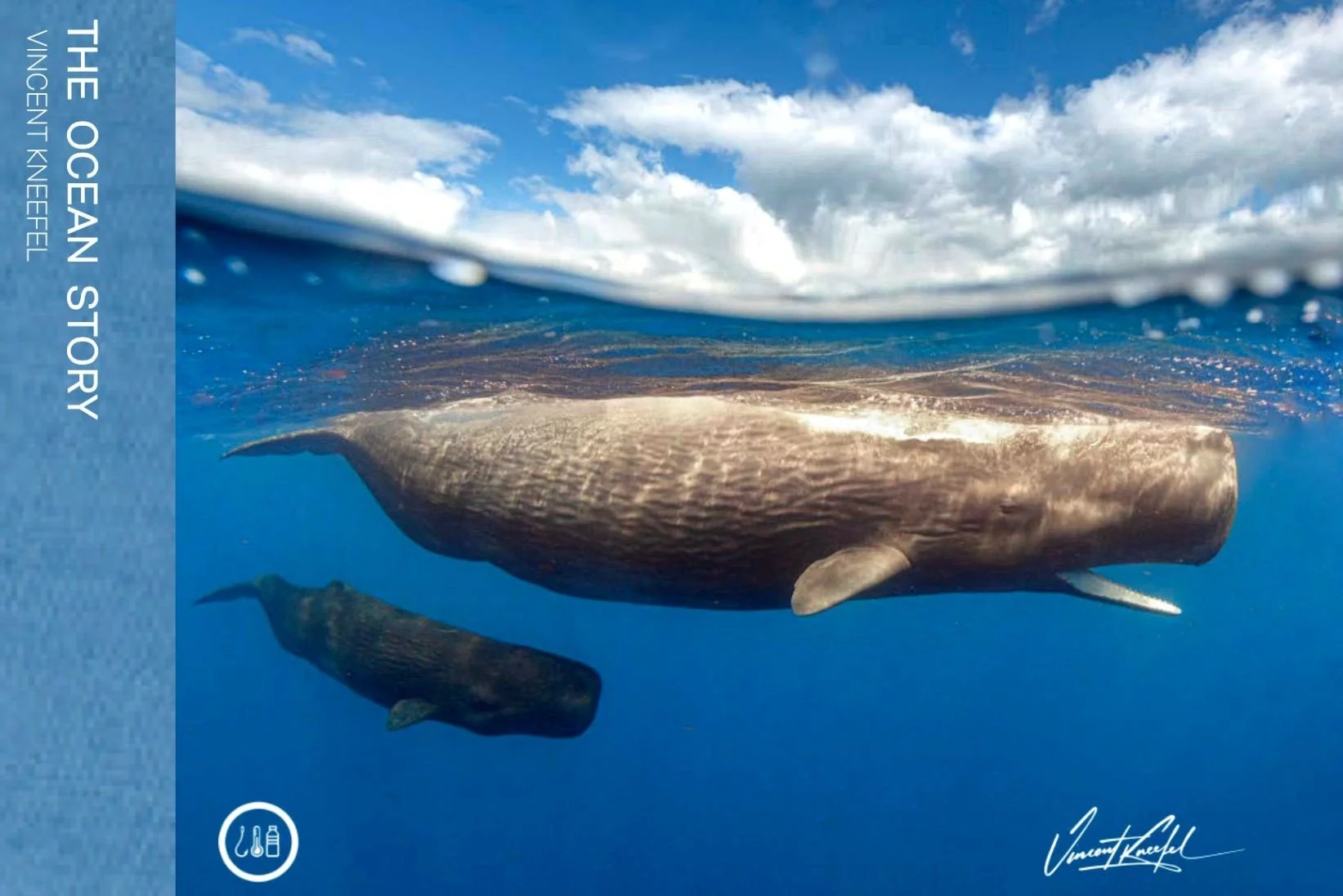 WhatsApp Image 2024-08-26 at 08.16.33.jpeg