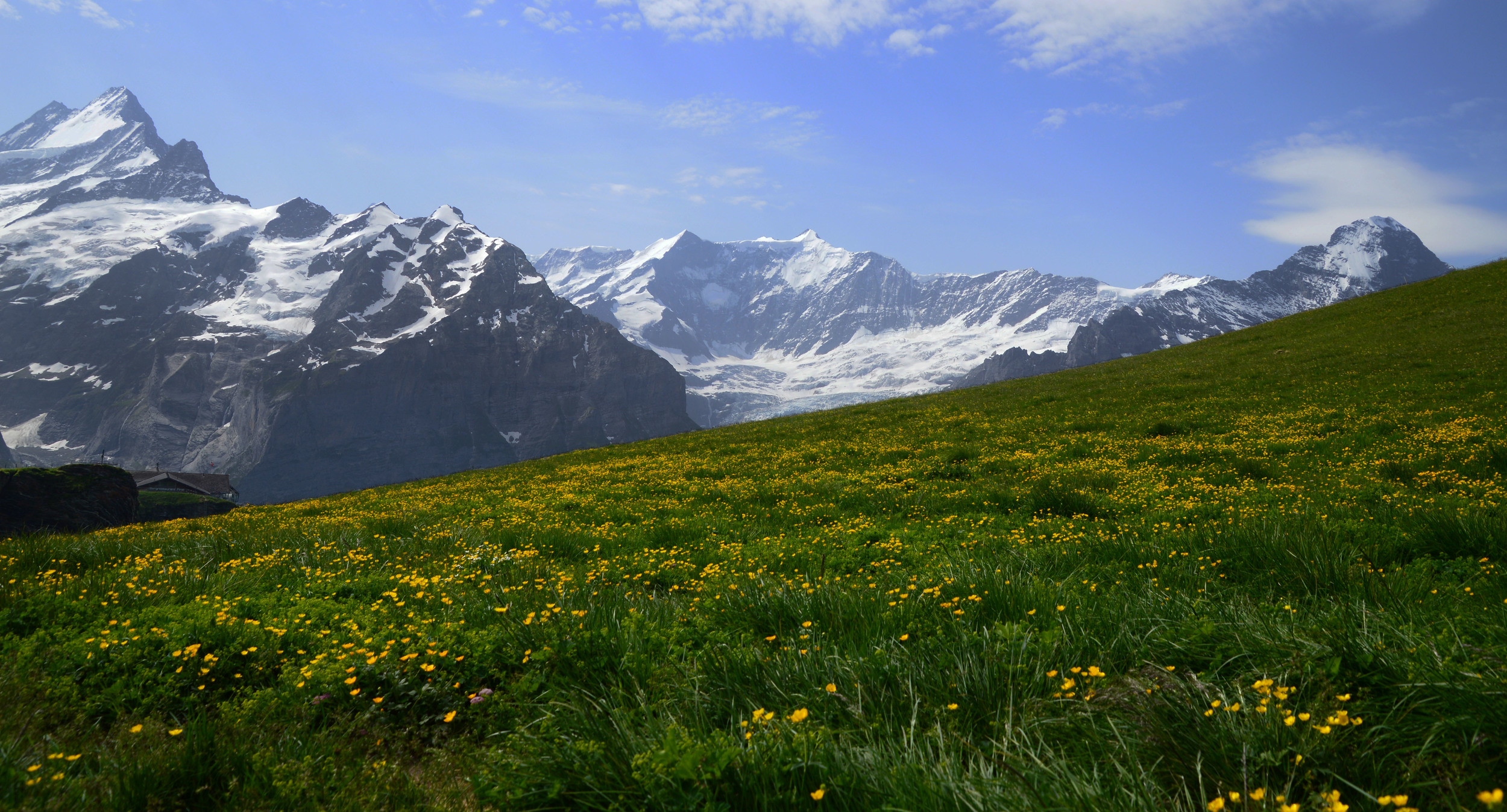 diagonal-mountain-alps.jpg