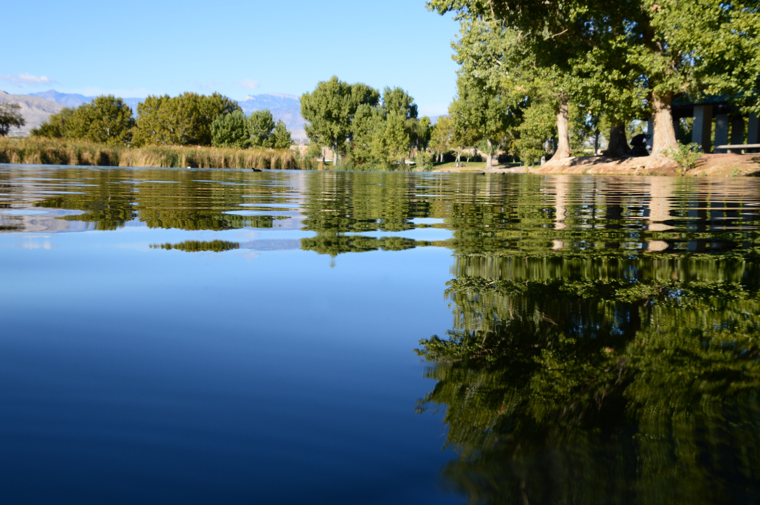 lake-reflection.jpg