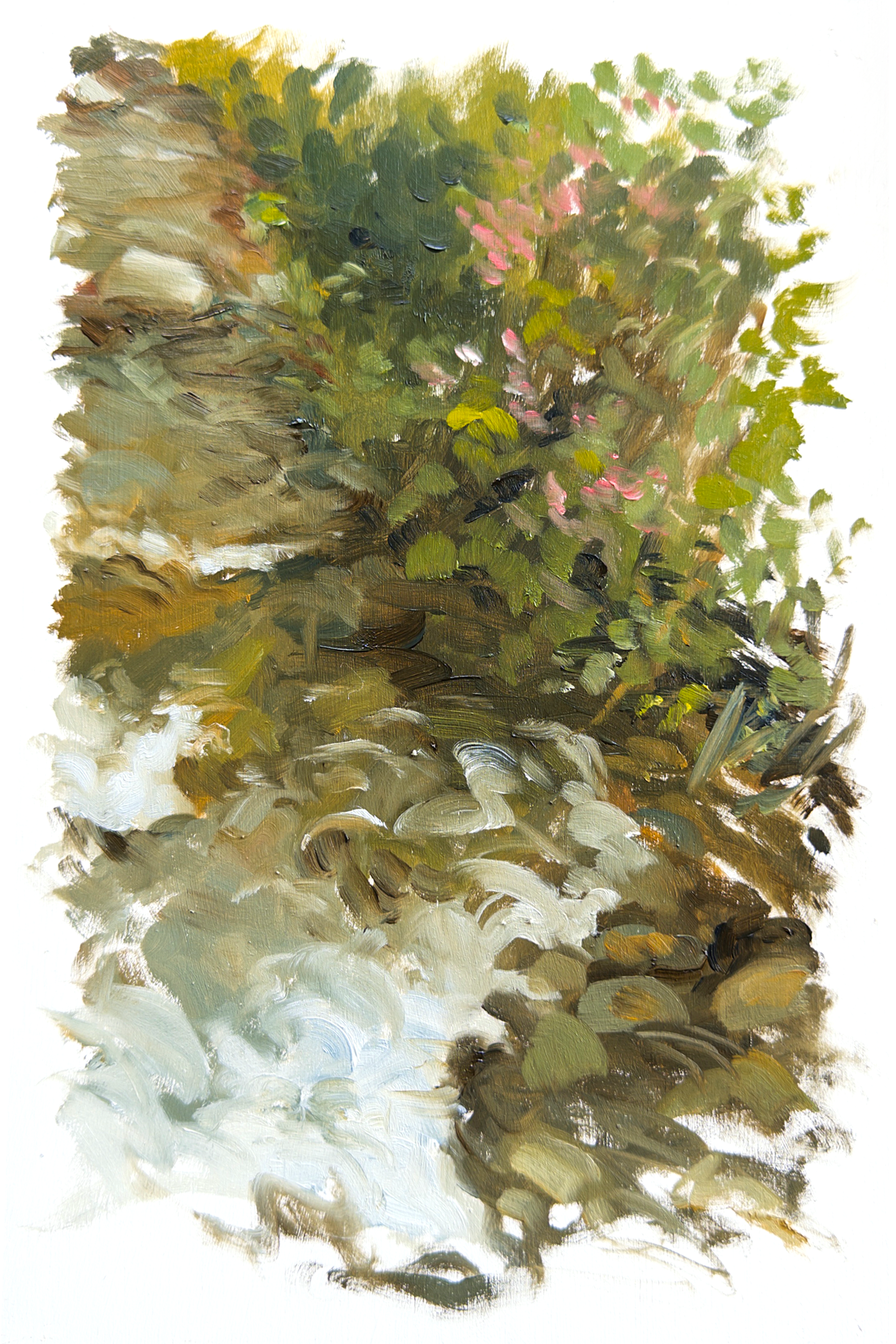 Camprodon 01
 

 Oil on wood, 20×30 cm. 2025 