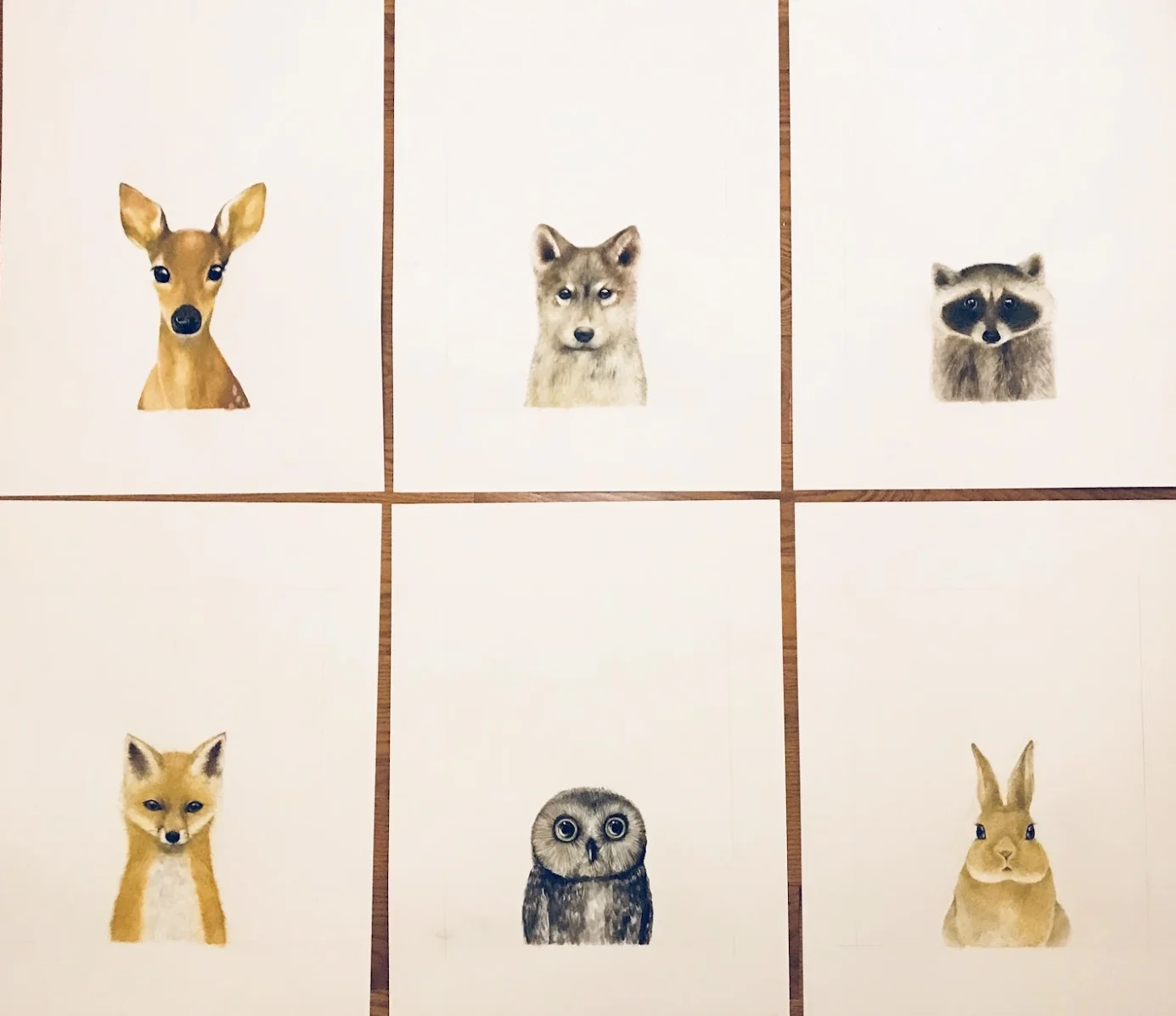 baby animals.jpg