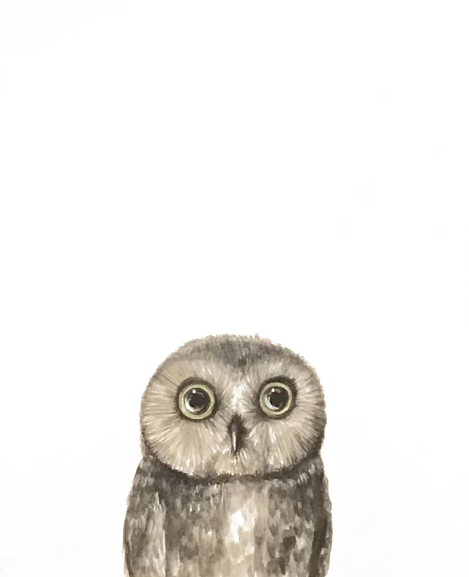 baby owl.jpg