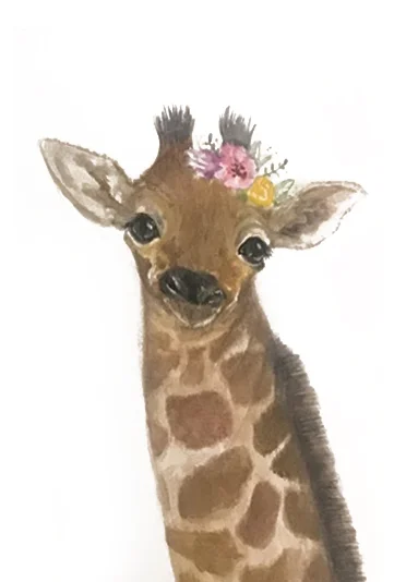 baby giraffe.jpg