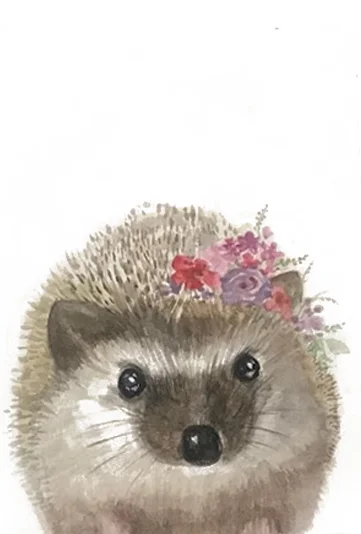 baby porcupine.jpg