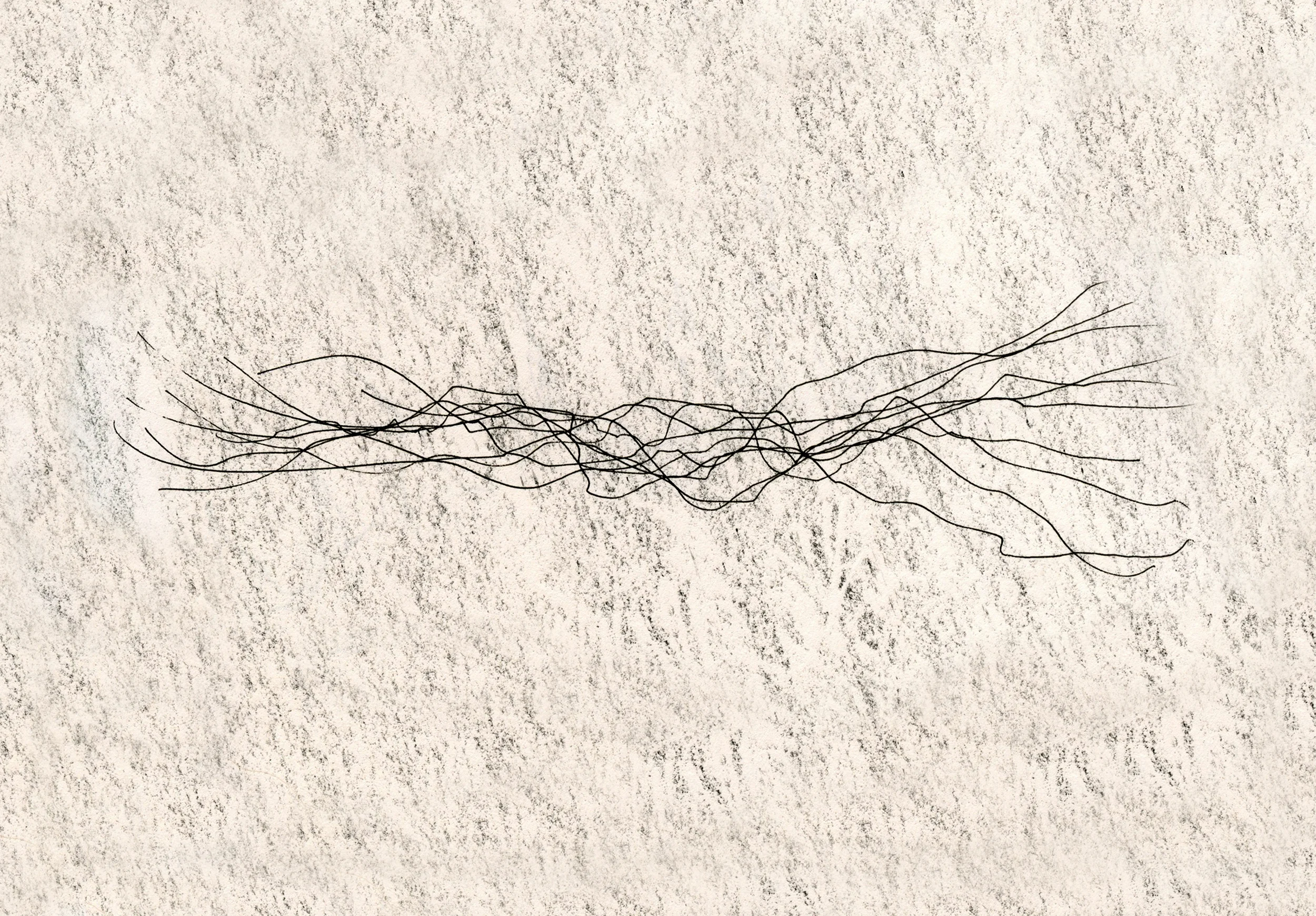 The Harper Record: A Mixed Bag