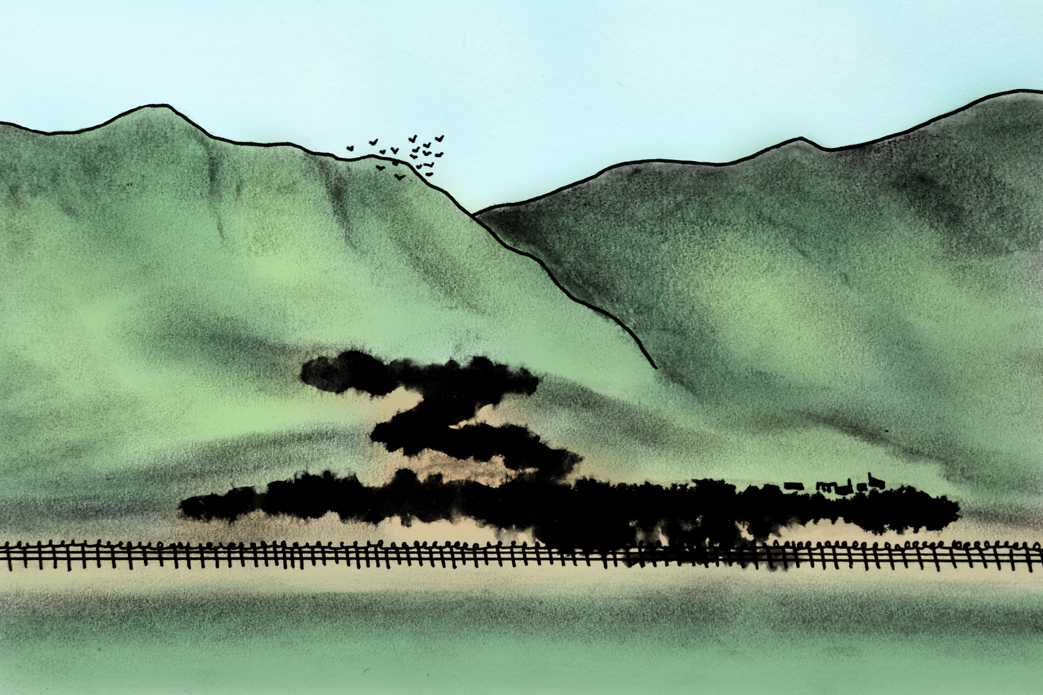 Illustration by Diane Connors