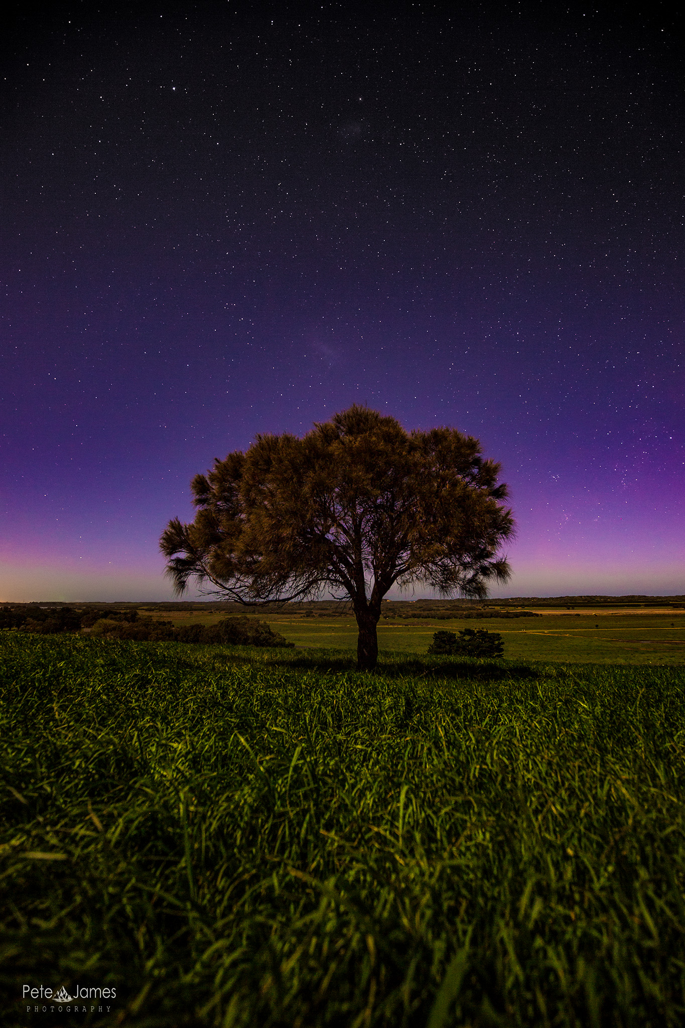 Stand alone - Ocean Grove Aurora