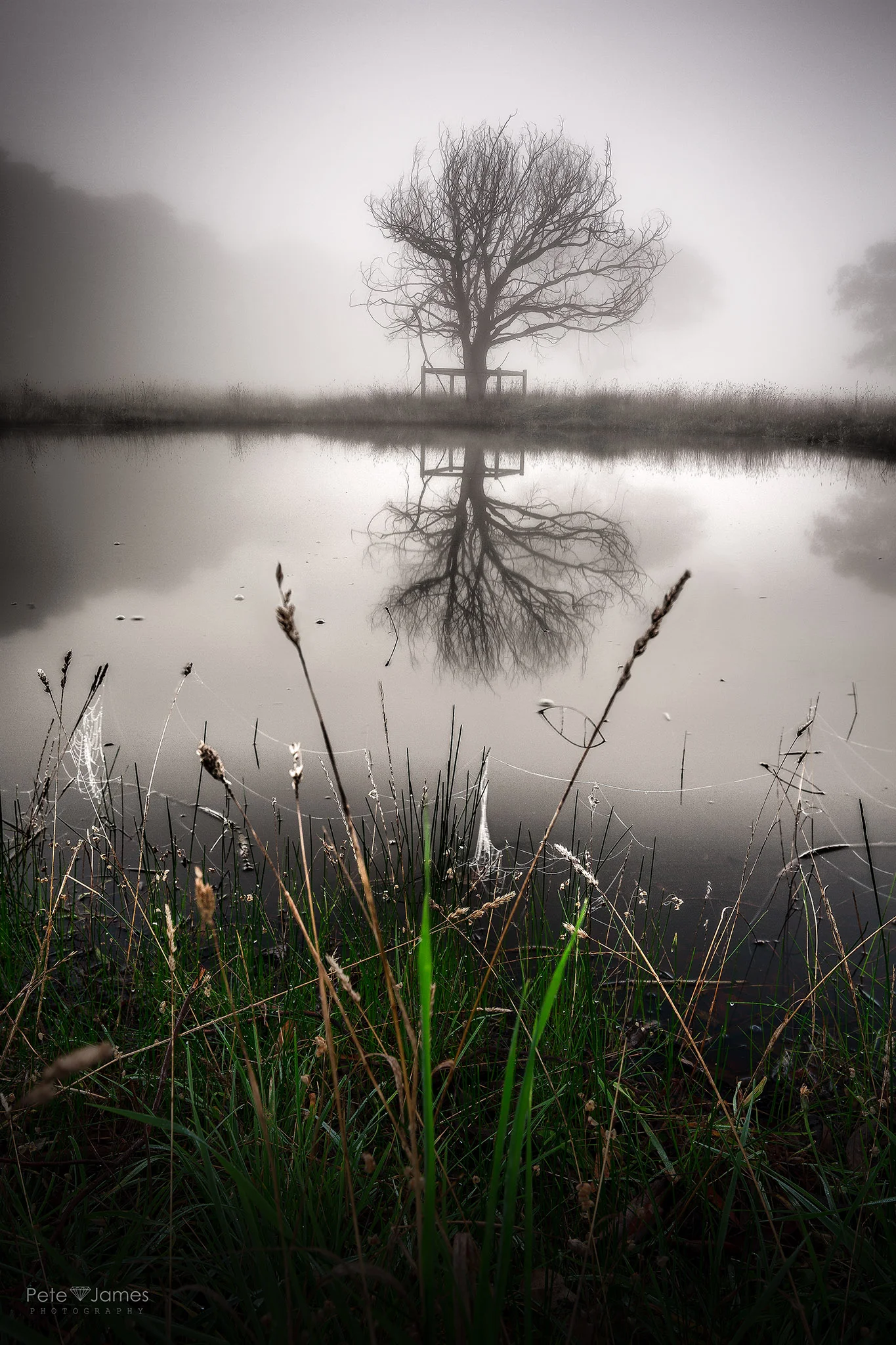 _Q7A5665-Edit-Edit-2-Edit-Edit.jpg