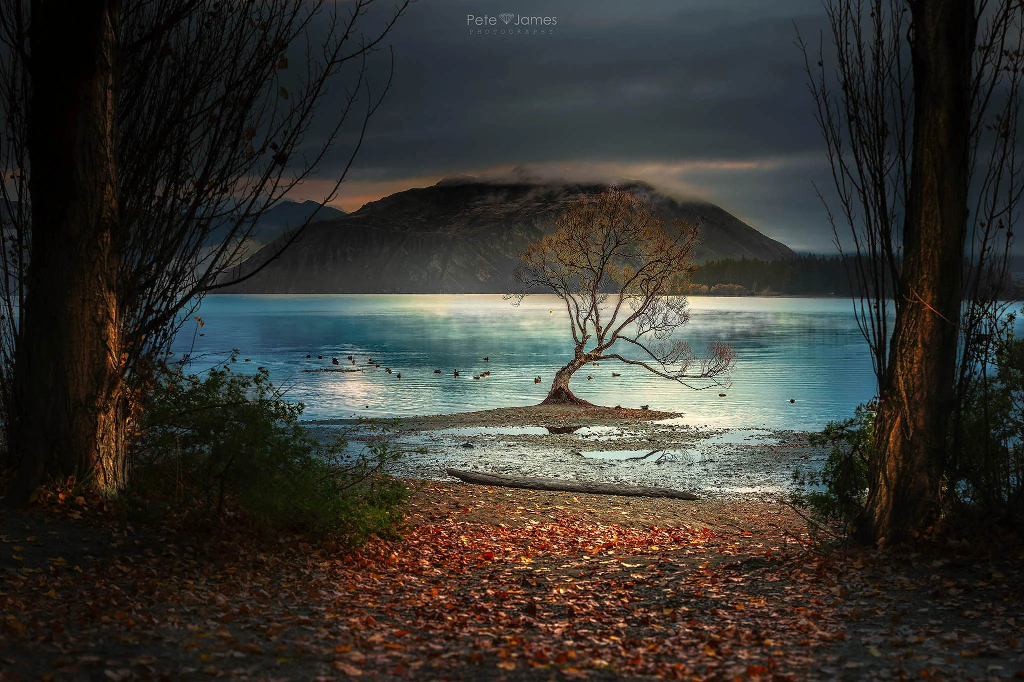 _Q7A3896-Pano-Edit-Edit-Edit.jpg