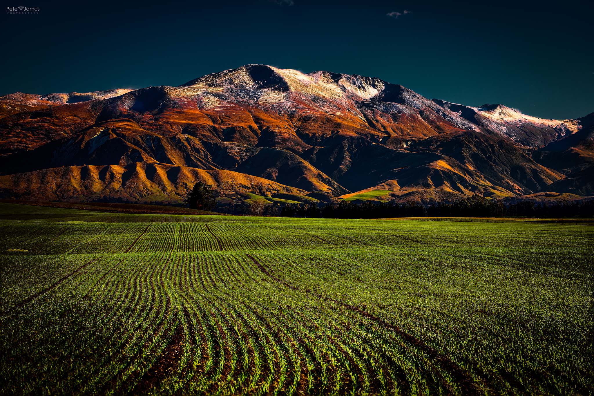 Green fields.jpg